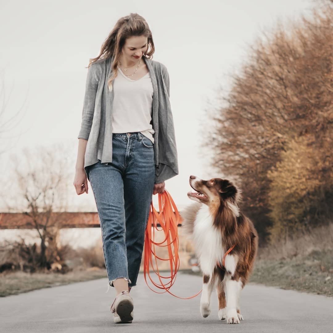 Die Schleppleine im Hundetraining – Pawsome Hundeblog