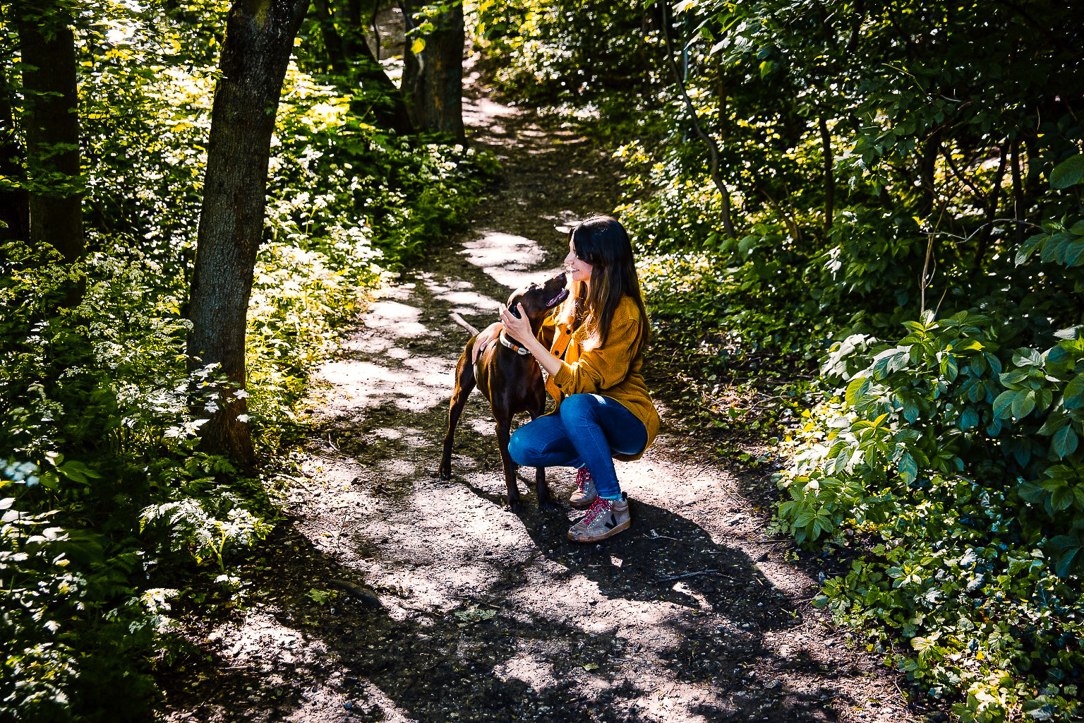 Der Pawsome Hundeblog: Von Hundemenschen für Hundemenschen