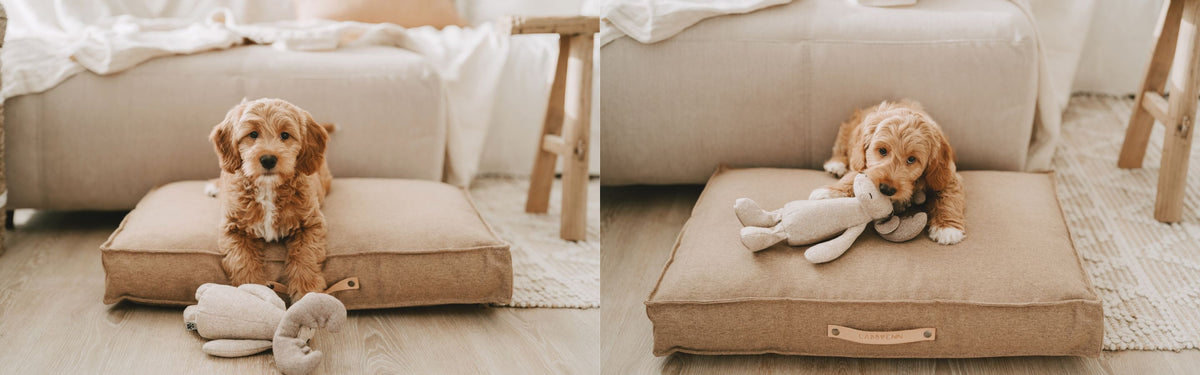 Hundebetten im nordischen Design von LABBVENN – erhältlich bei Pawsome Hundezubehör