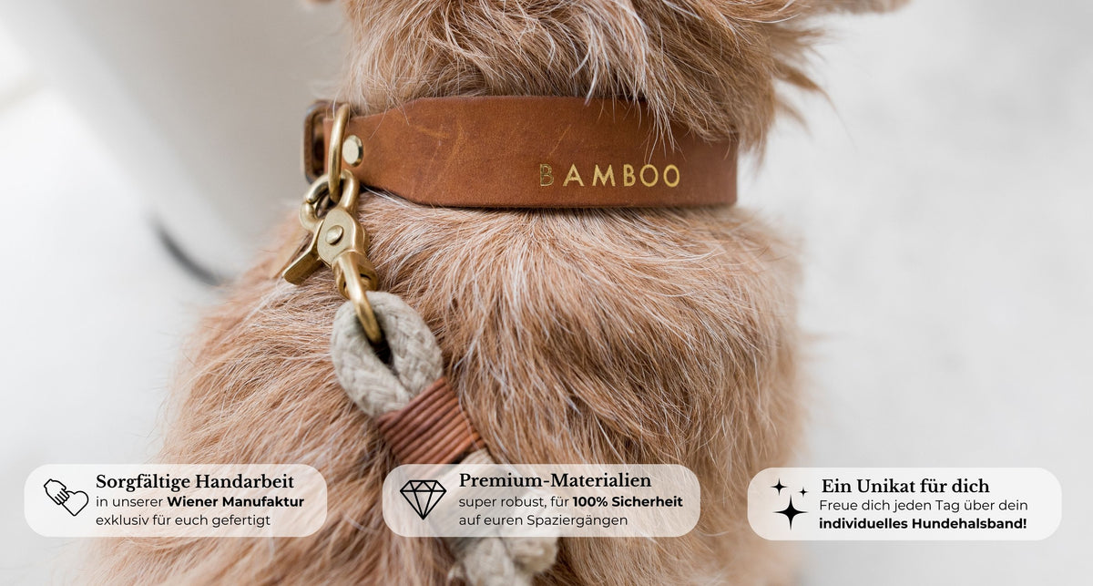 Lederhalsbänder mit Namensgravur aus butterweichem Fettleder – Pawsome Hundezubehör aus Wien
