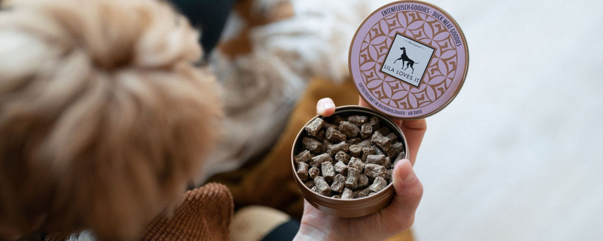 Natürliche Hundeleckerlis fürs Training – Pawsome Hundezubehör