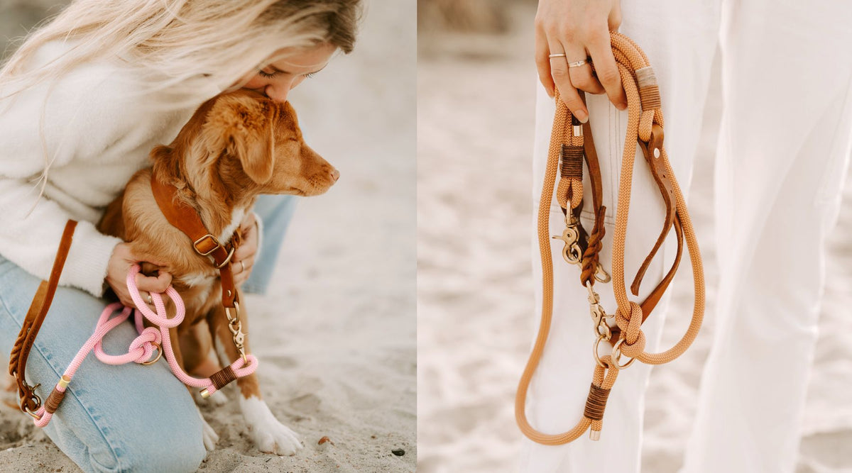 Tauleinen aus Kletterseil mit Leder-Handschlaufe – Pawsome Hundezubehör aus der Wiener Manufaktur
