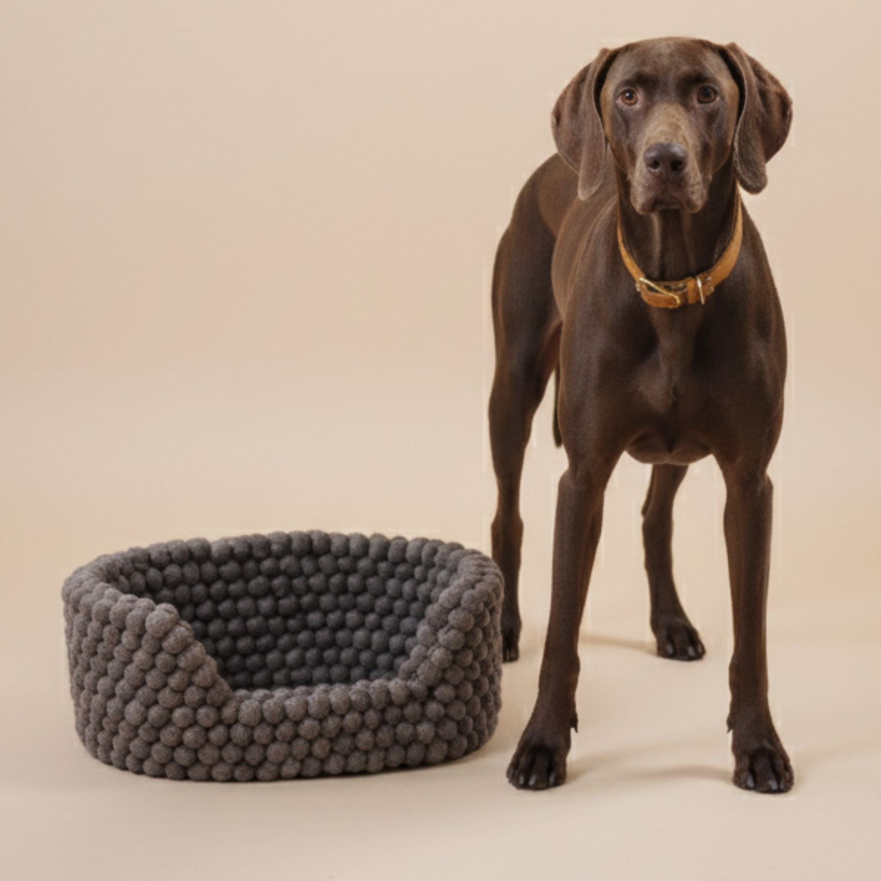 B:Ware | Hundebett von wooldot aus 100% Wolle