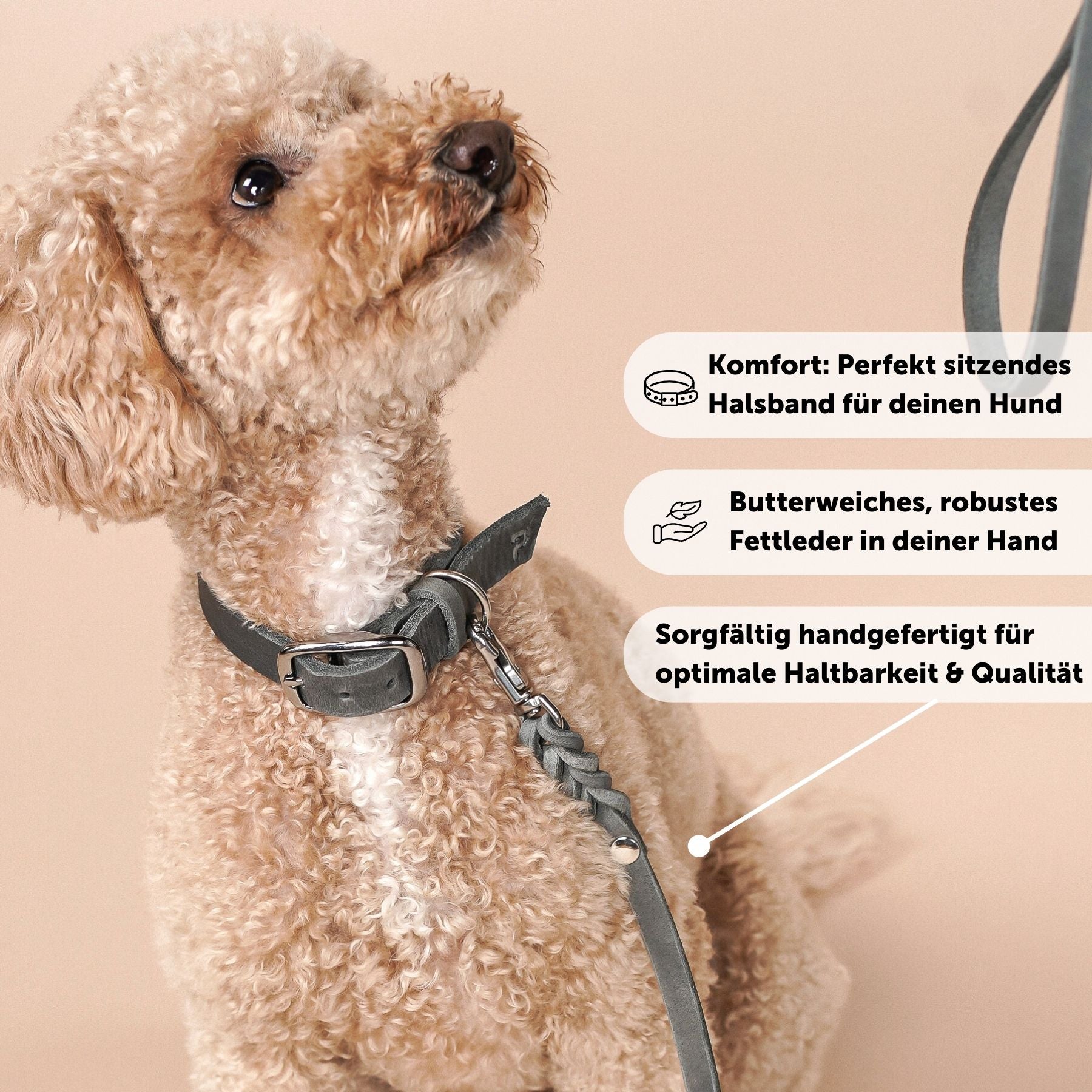 Set | Lederhalsband & Leine in Steingrau