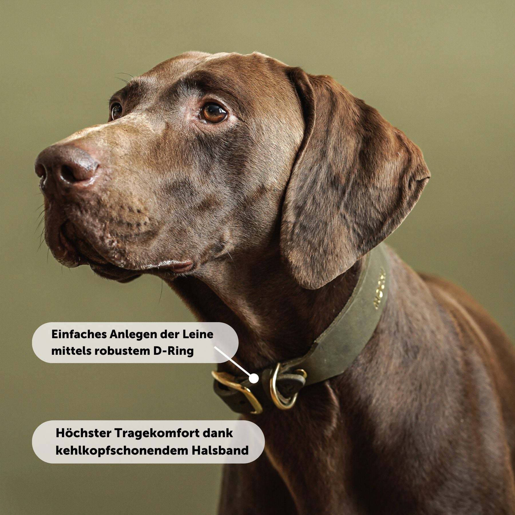 Personalisierbares Lederhalsband mit Name | Olive