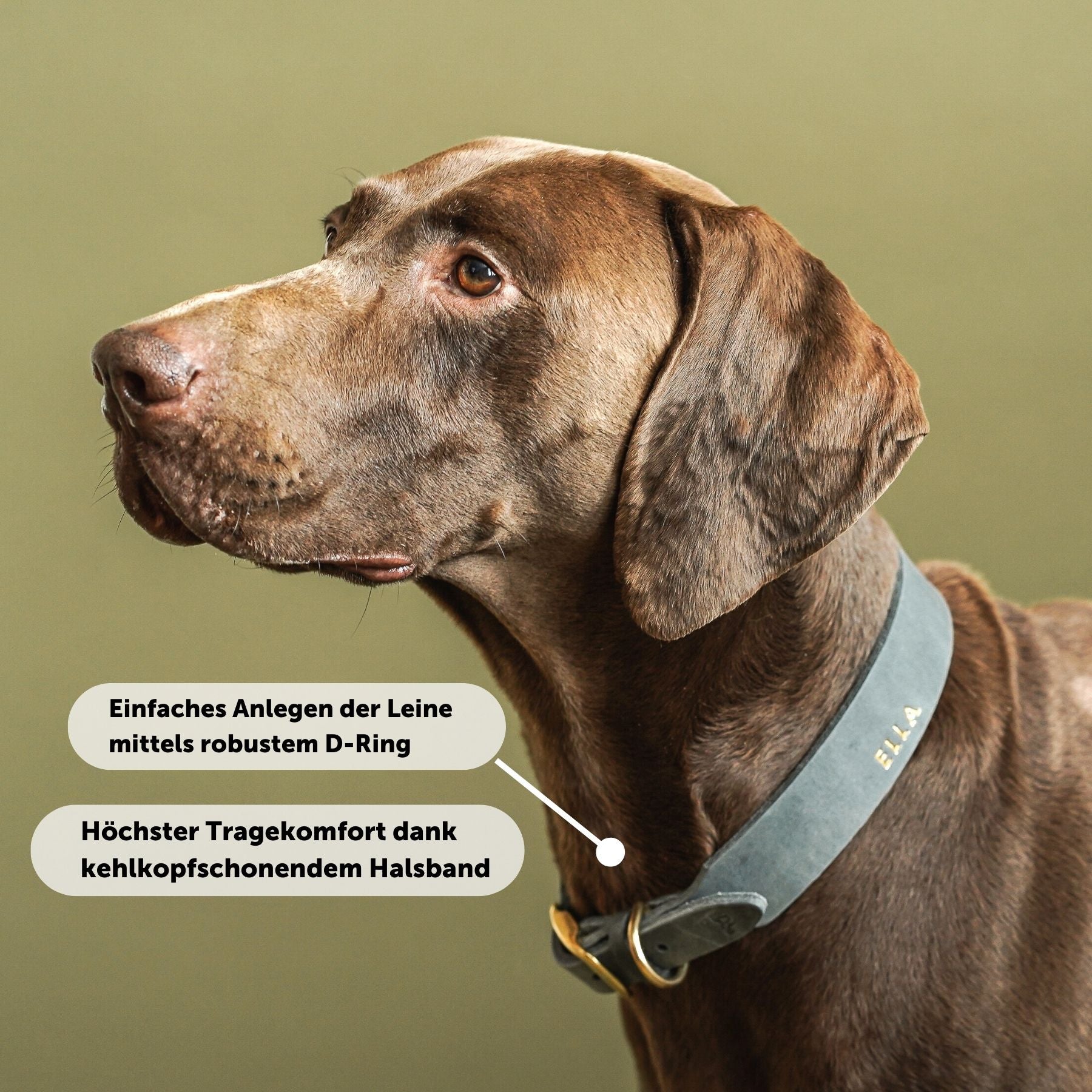 Personalisierbares Lederhalsband mit Name | Steingrau