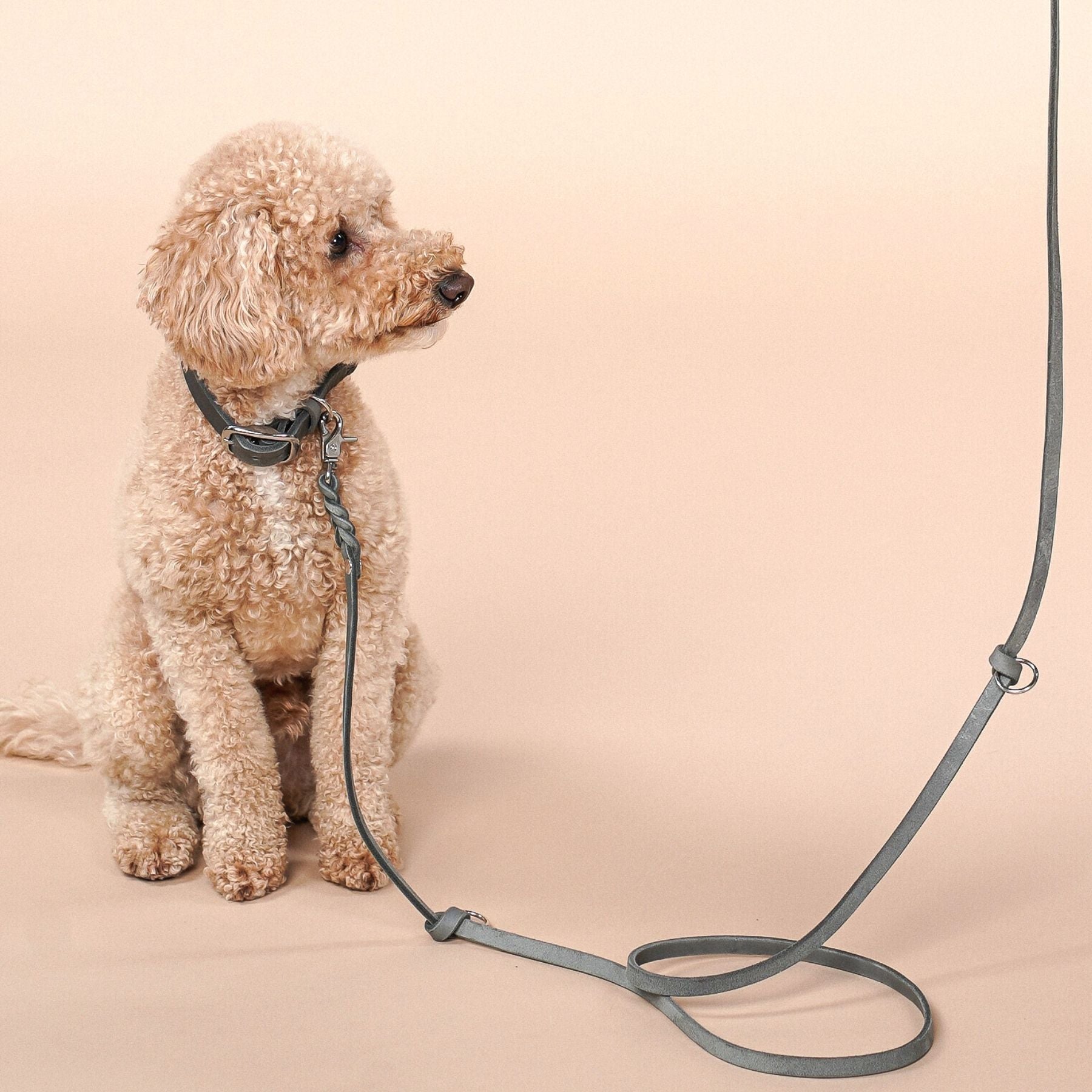 Set | Lederhalsband & Leine in Steingrau