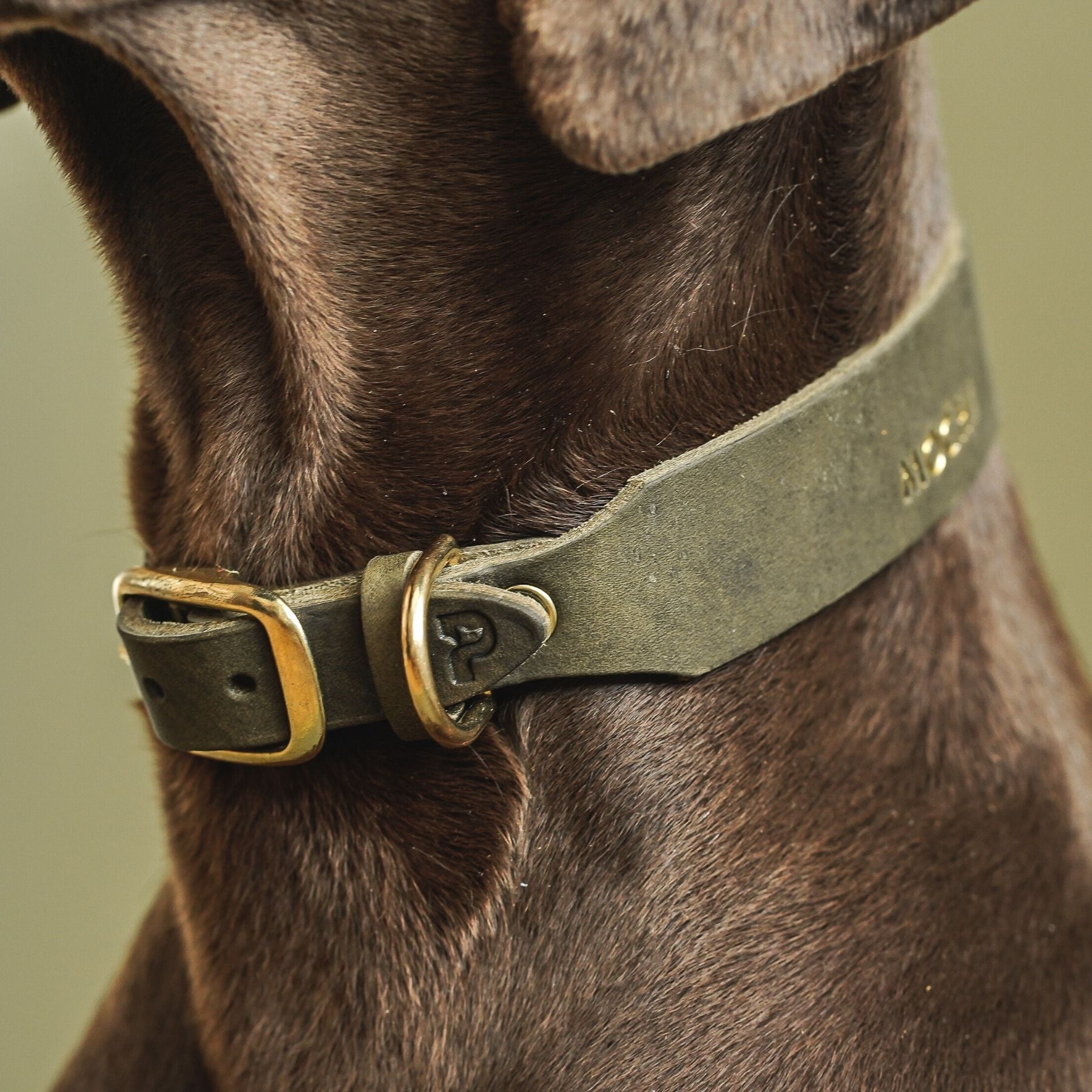 Personalisierbares Lederhalsband mit Name | Olive