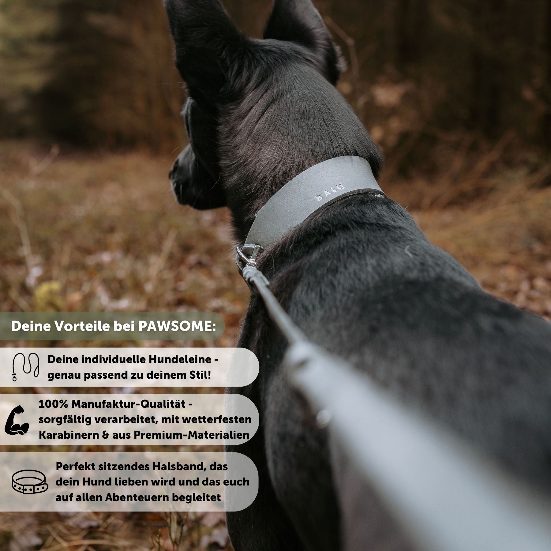 Set | Lederhalsband & Leine in Steingrau