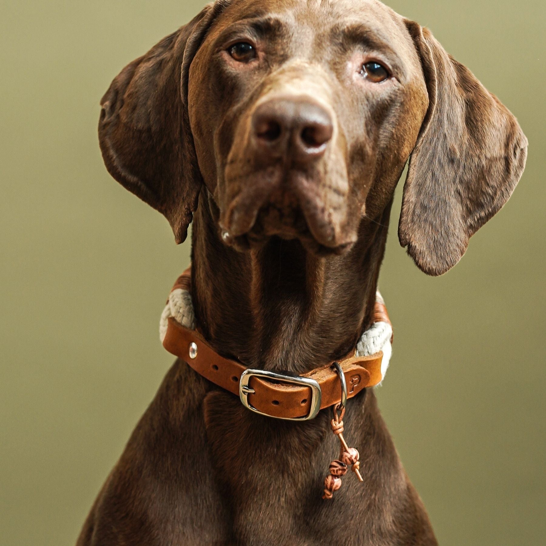 Tauhalsband 'Earthy'