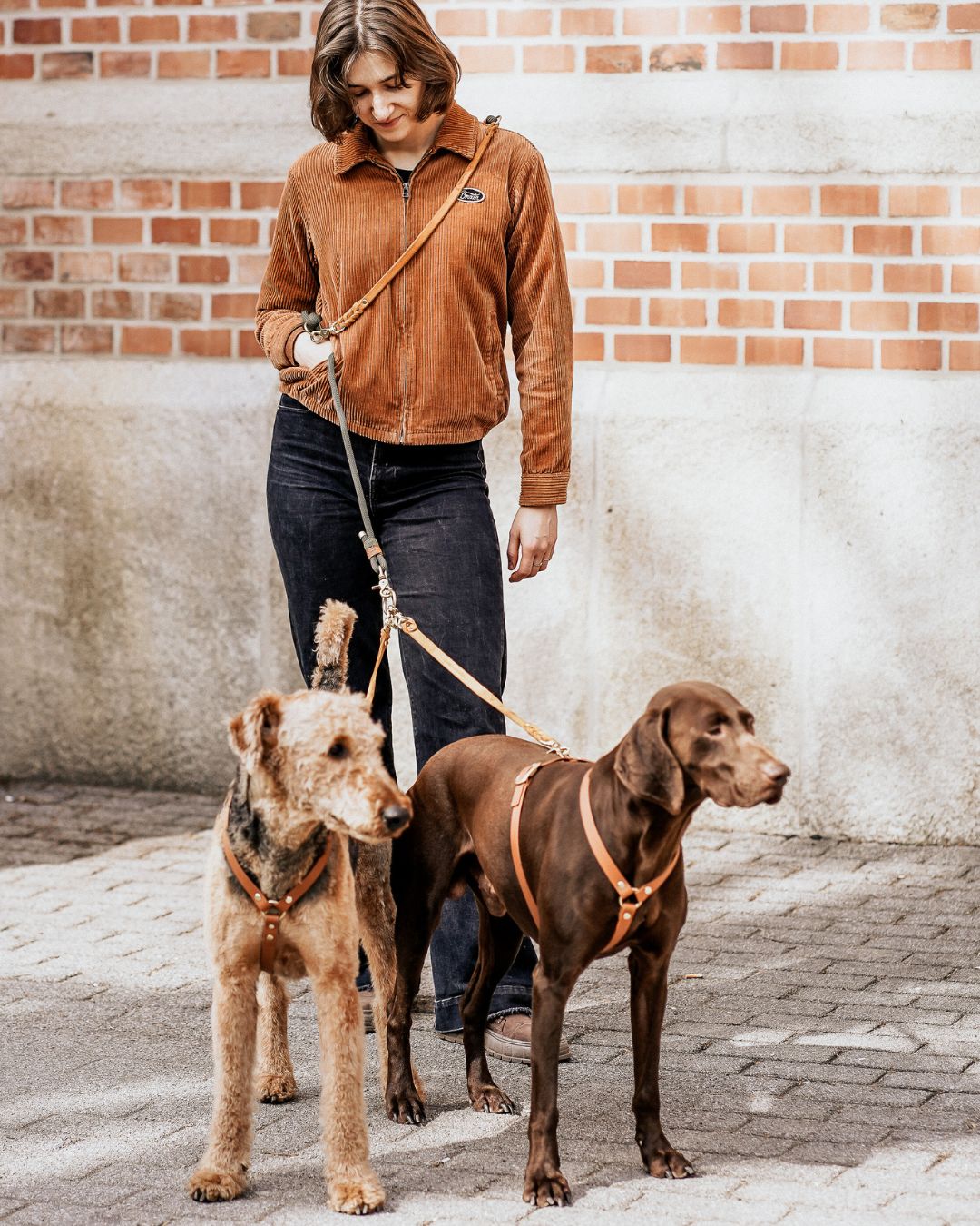Komplett-Set | 2 Verbindungsteile aus Biothane für 2 Hunde an einer Leine inkl. O-Ring