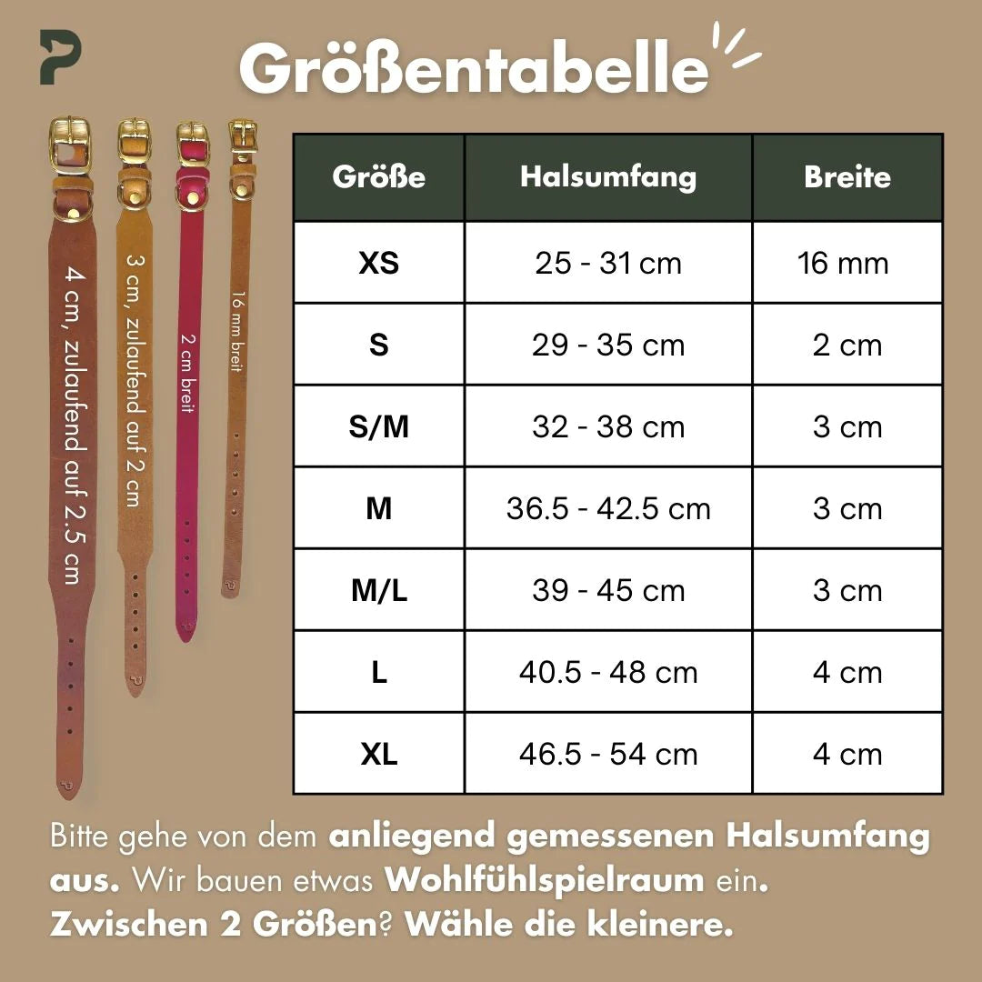 Set | Lederhalsband & Leine in Schwarz