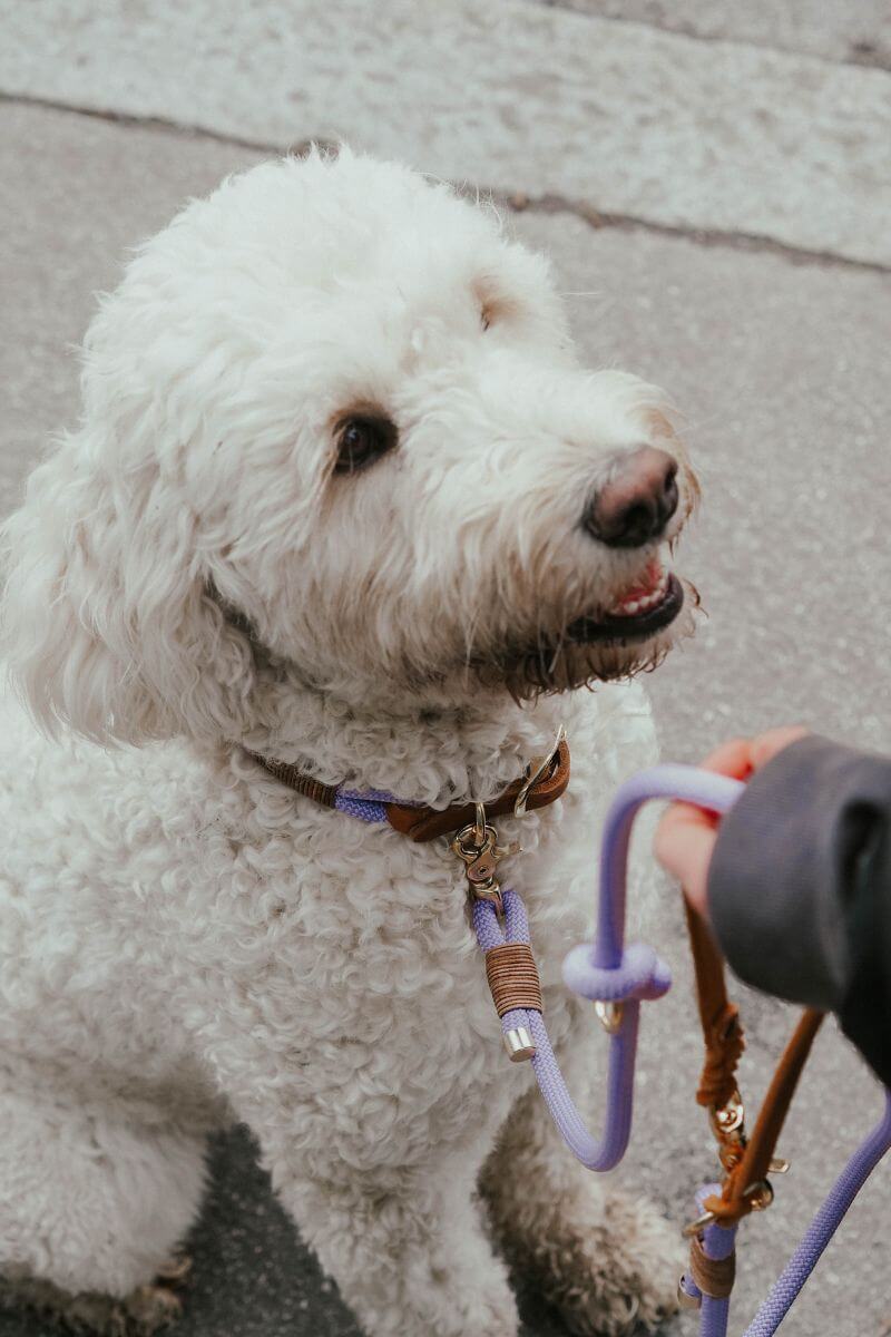B:Ware | Tauleine 'Lavendel' mit Lederhandschlaufe