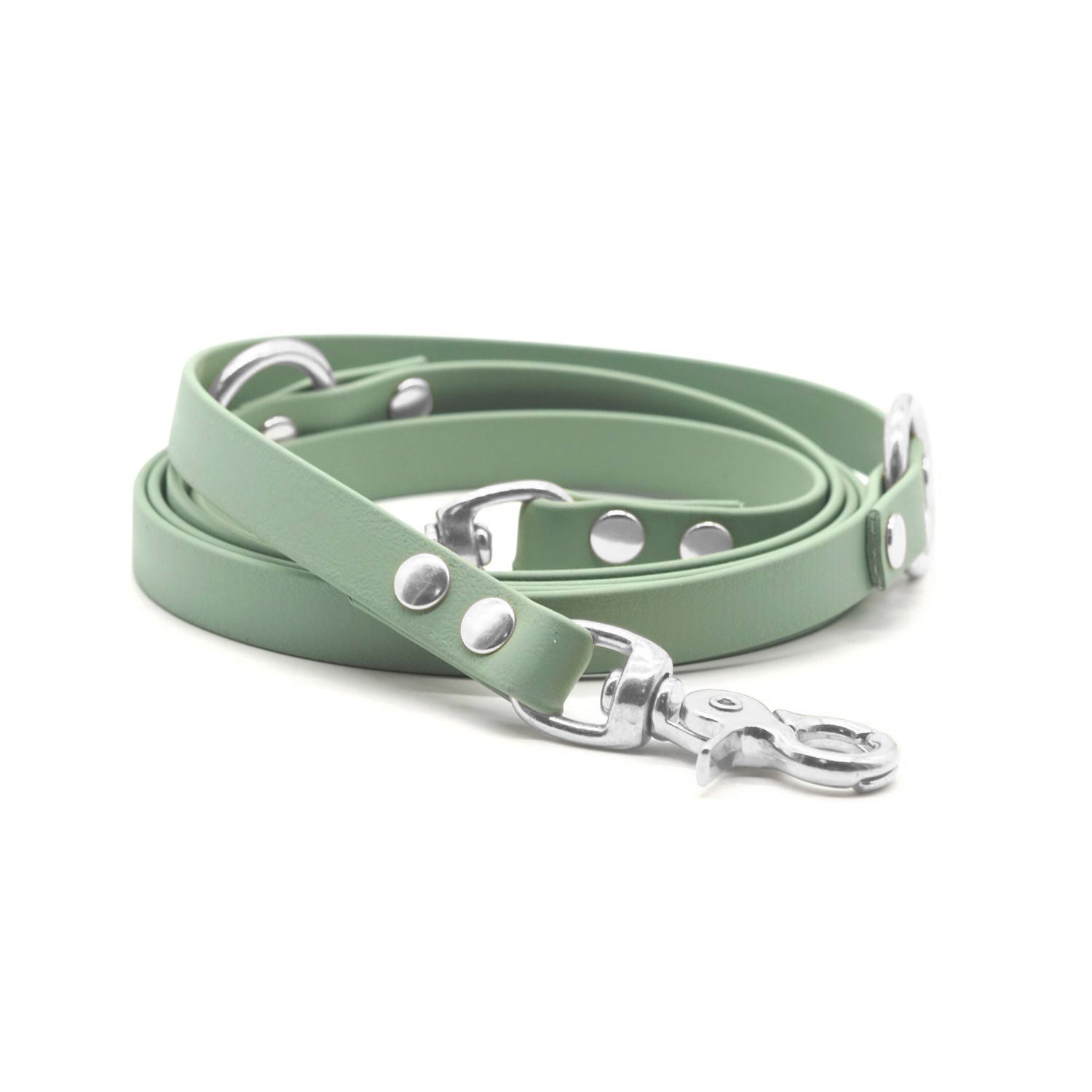 Hundeleine aus Biothane® 'Salbei'