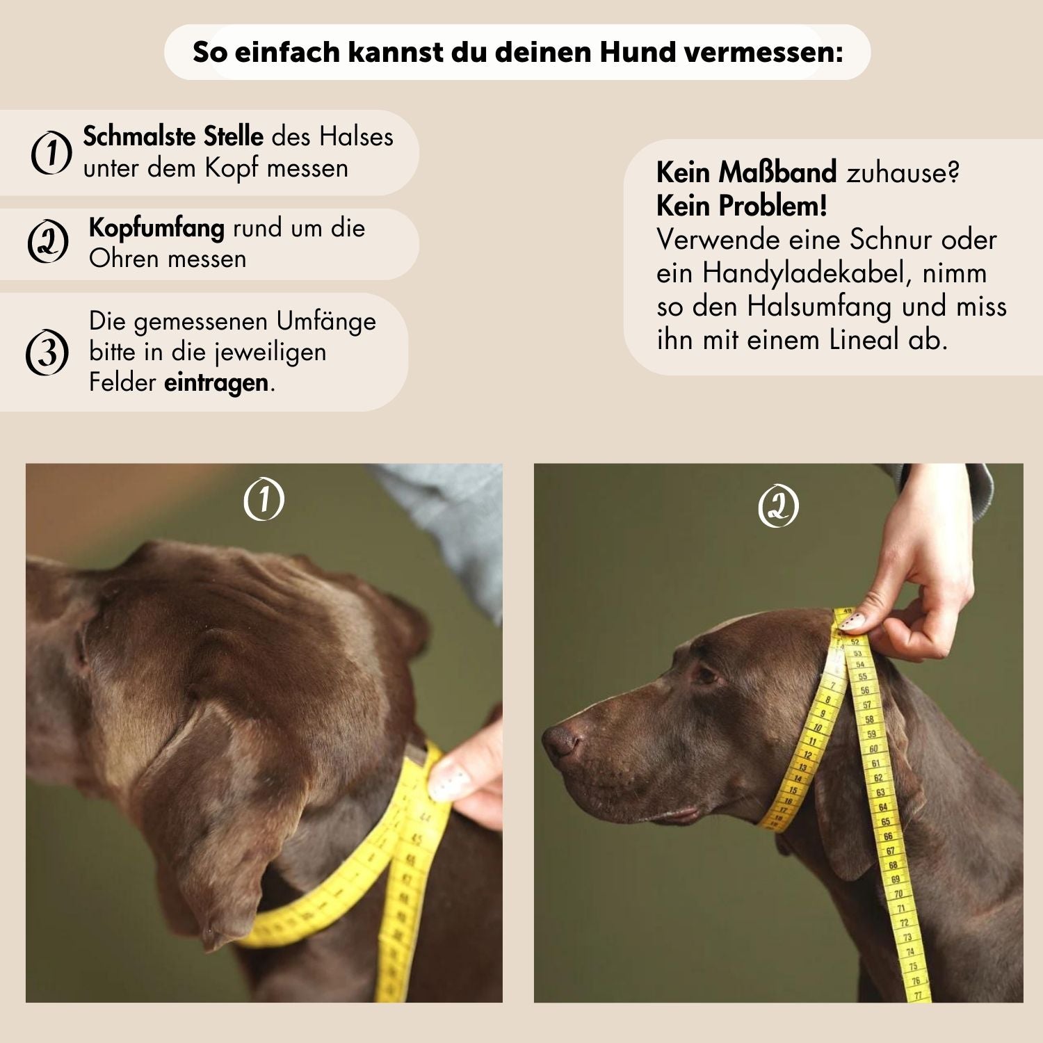 Zugstopp-Halsband aus Fettleder 'Chili'