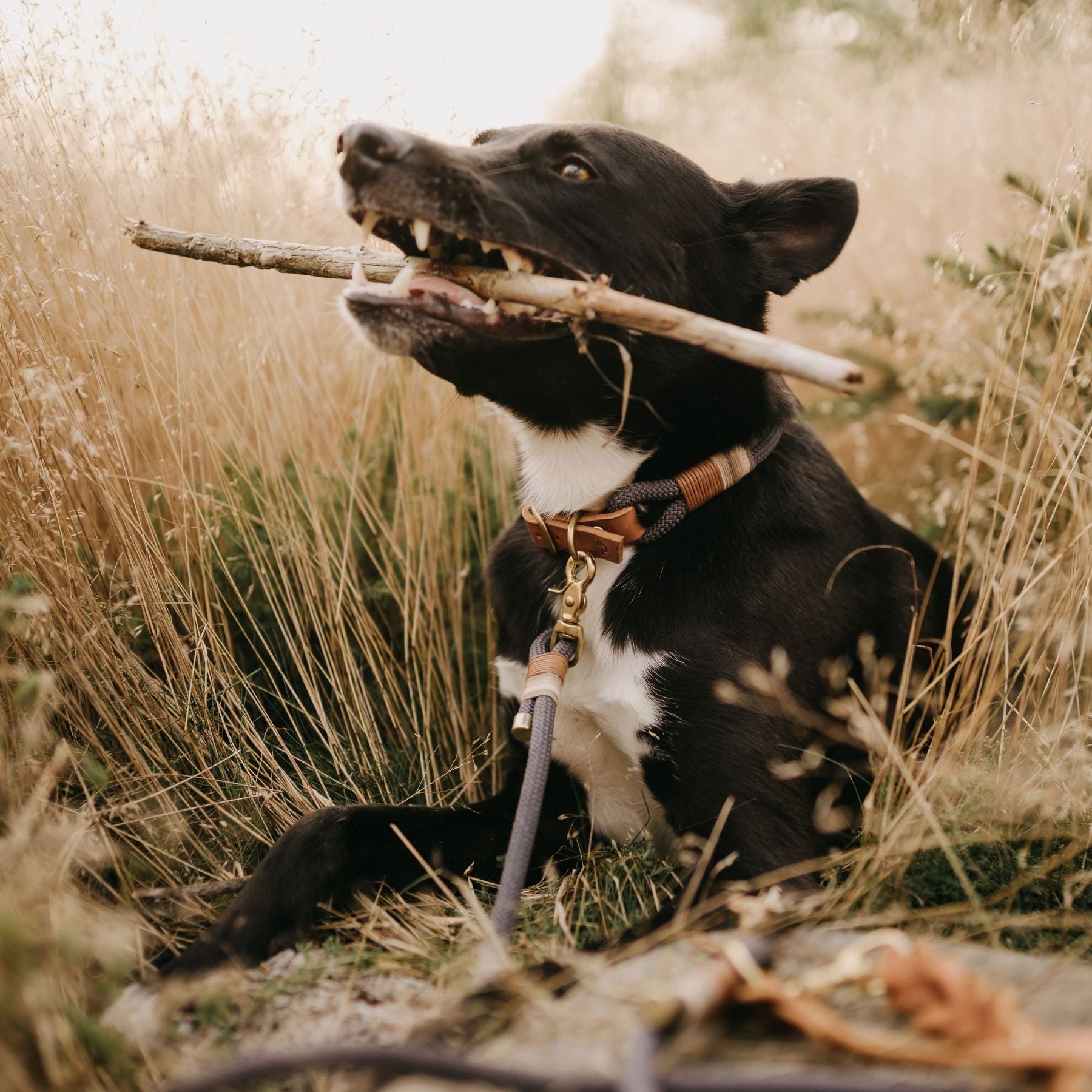 B:Ware | Tauleine 'Vienna' mit Lederhandschlaufe