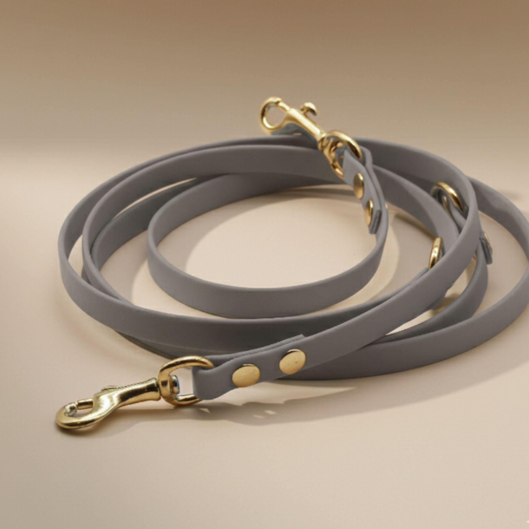 B:Ware | Hundeleine aus Biothane® 'Grau'