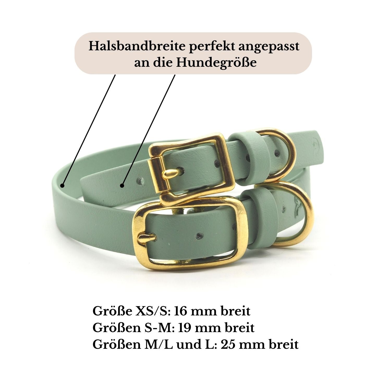 Set | Halsband & Leine aus Biothane® 'Salbei'