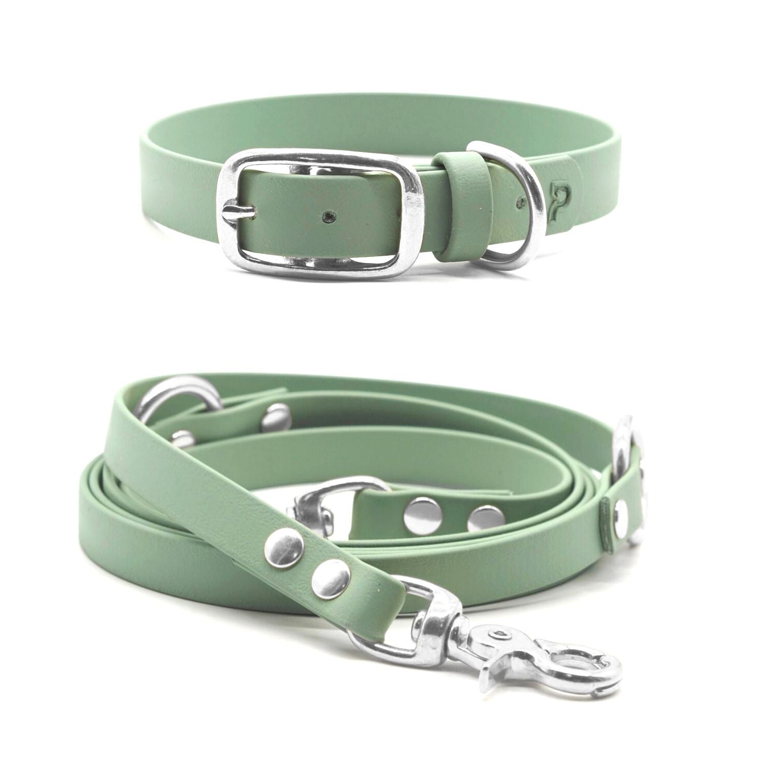 Set | Halsband & Leine aus Biothane® 'Salbei'
