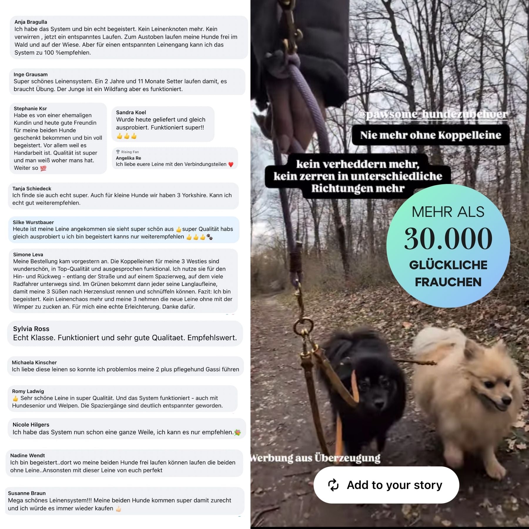 Komplett-Set | 2 Verbindungsteile aus Biothane für 2 Hunde an einer Leine inkl. O-Ring