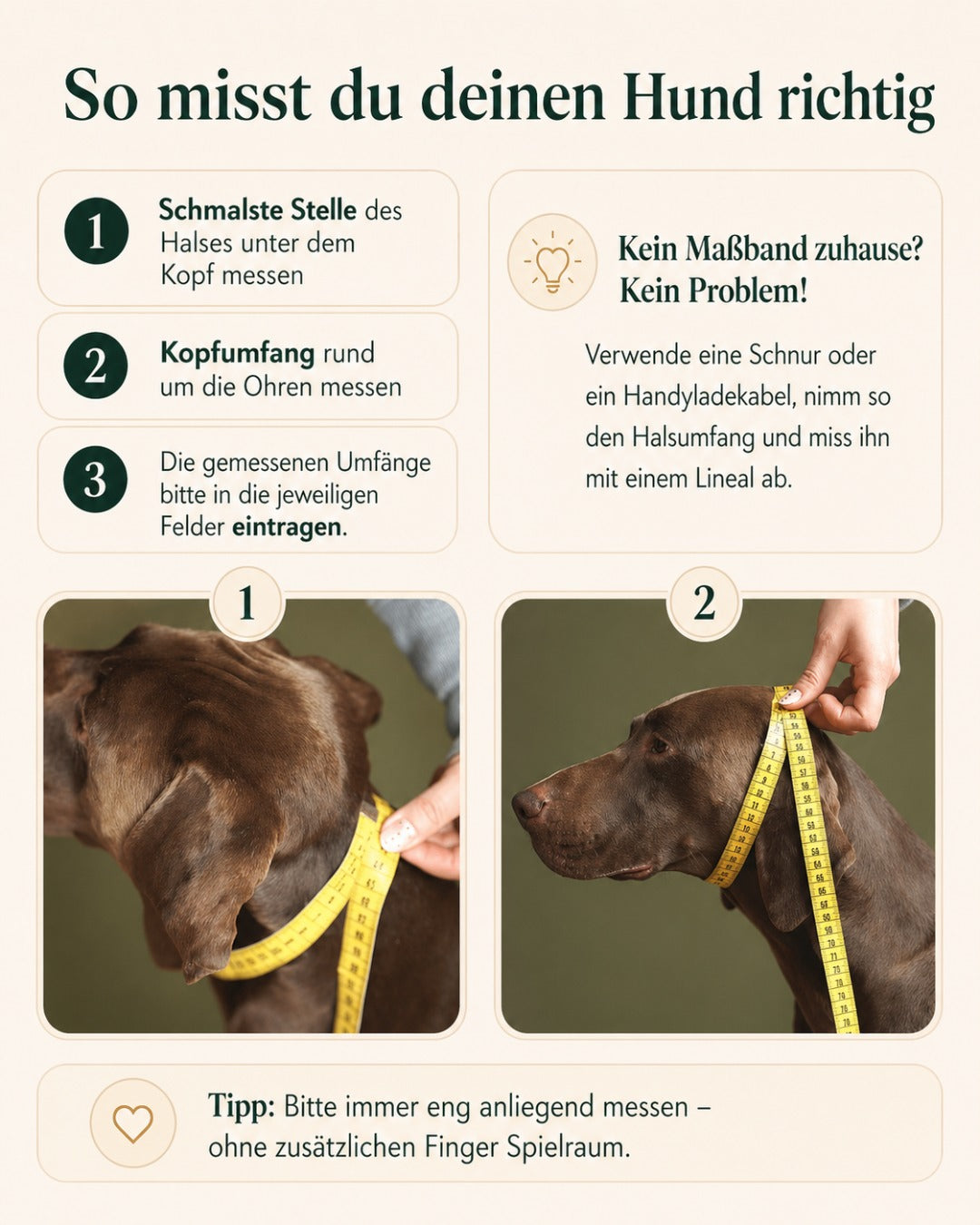 Zugstopp-Halsband aus Fettleder 'Chili'