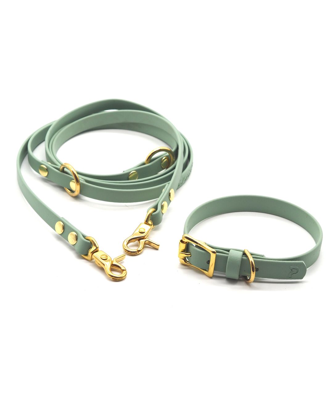 Set | Halsband & Leine aus Biothane® 'Salbei'