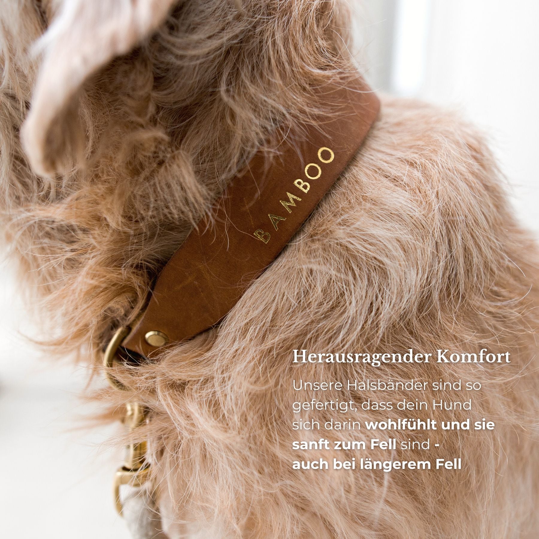 Personalisierbares Lederhalsband mit Name | Cognac