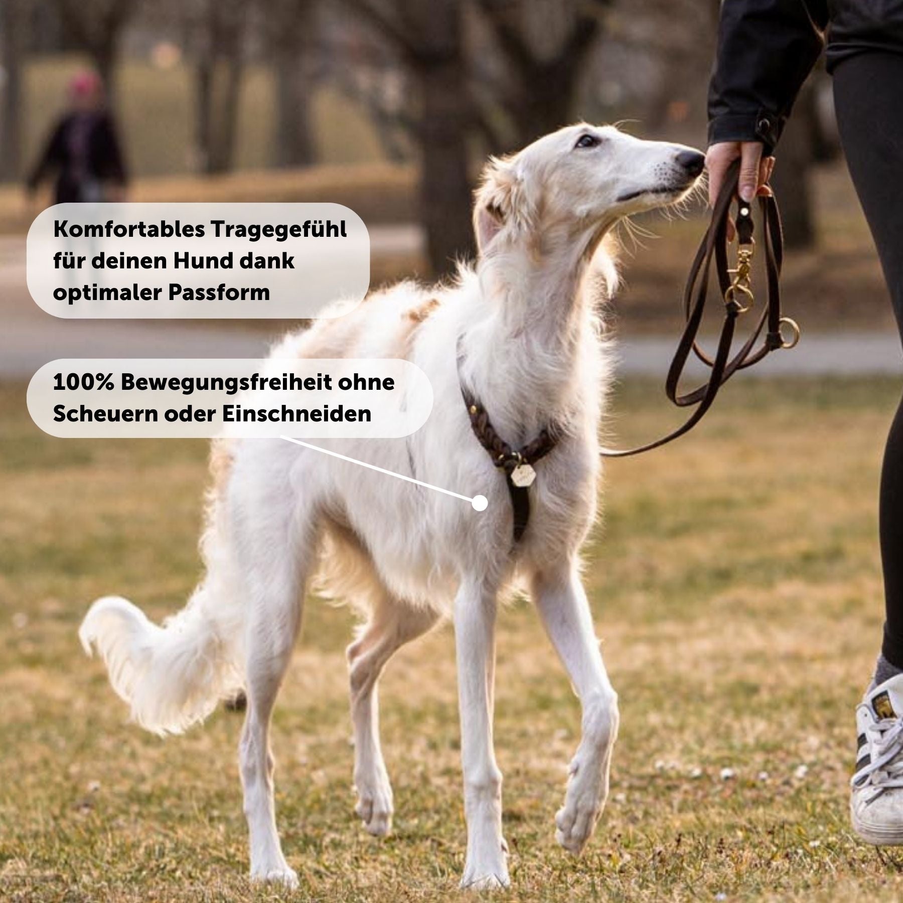 Hundegeschirr 'Bjarki' in Kastanie