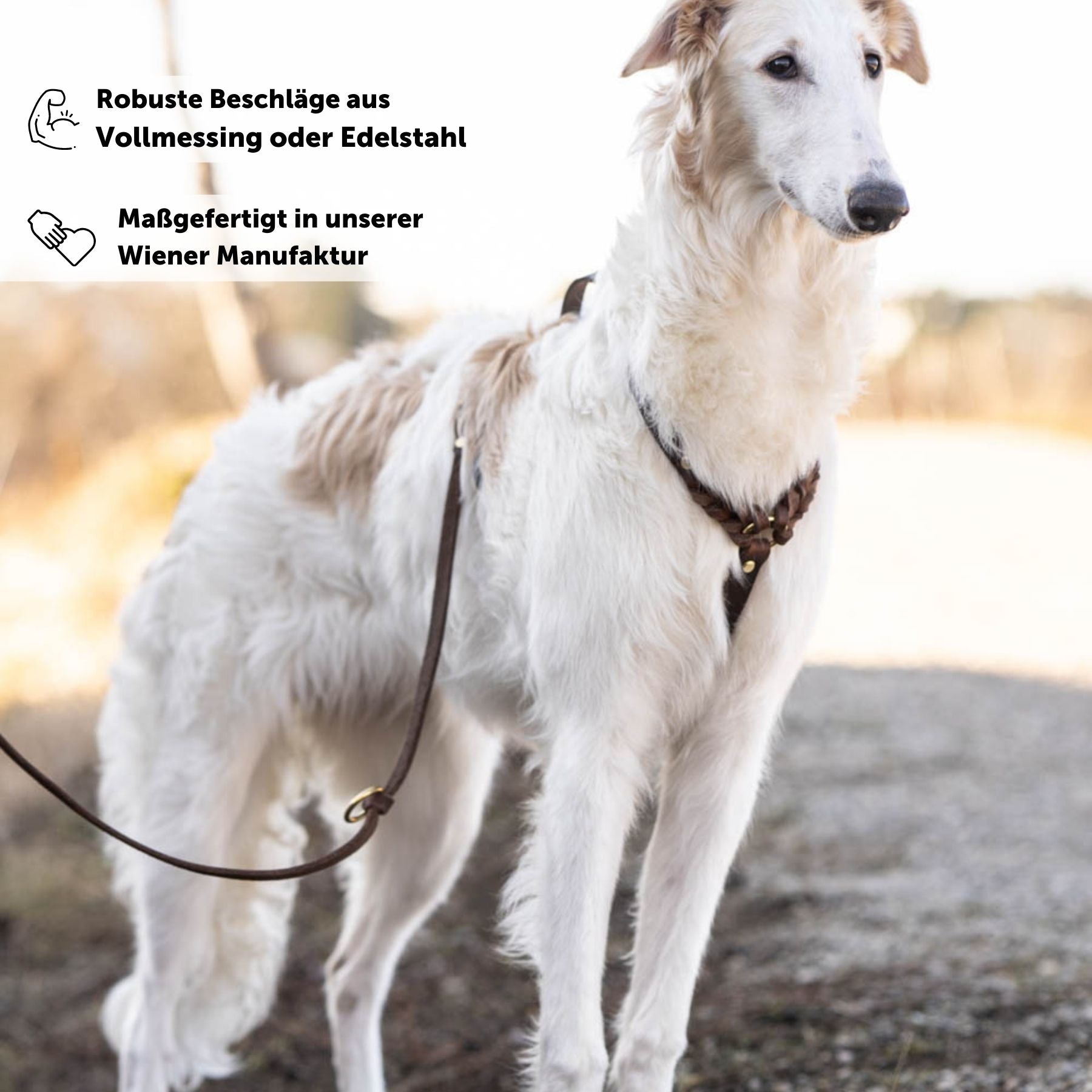 Hundegeschirr 'Bjarki' in Kastanie