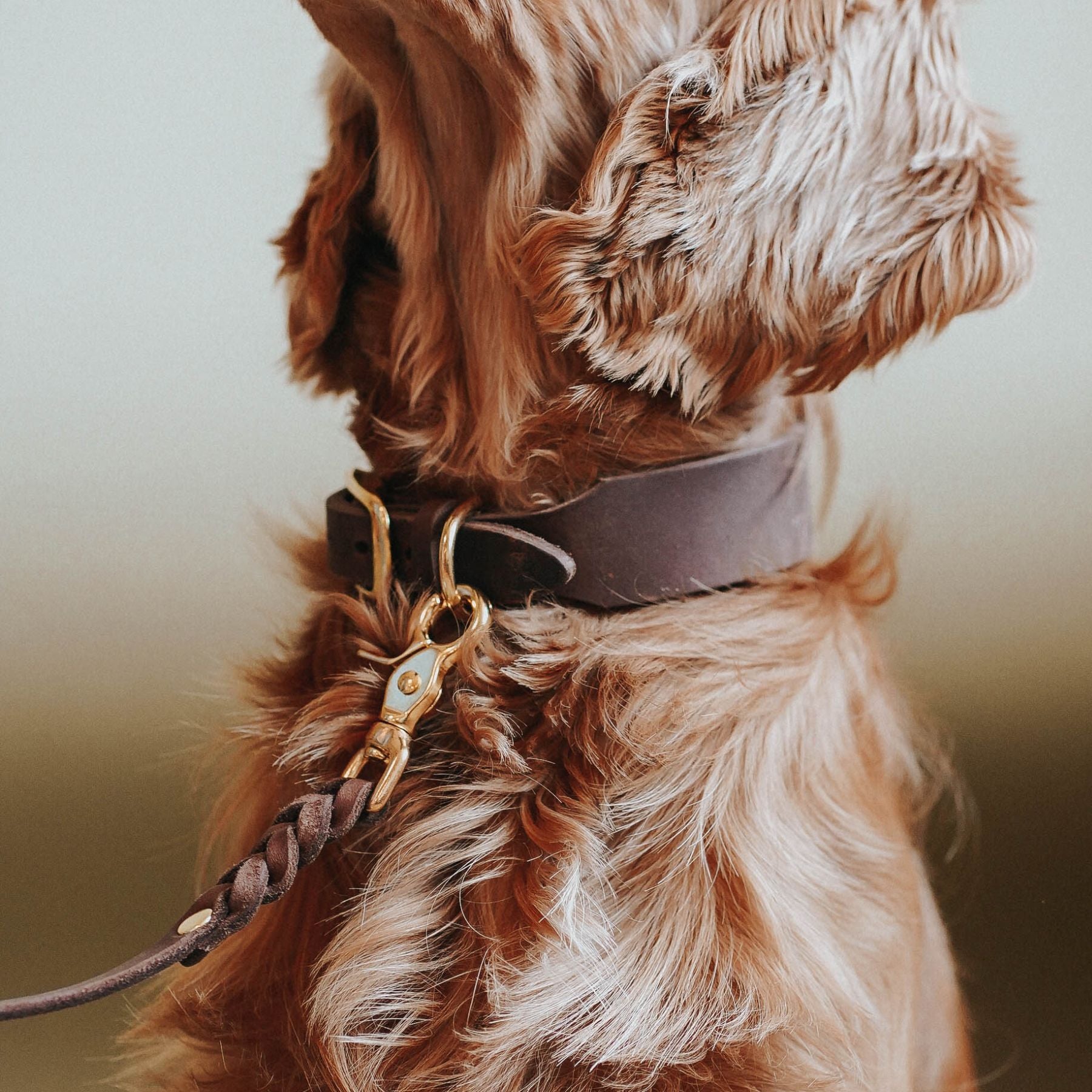 Personalisierbares Lederhalsband mit Name | Kastanie