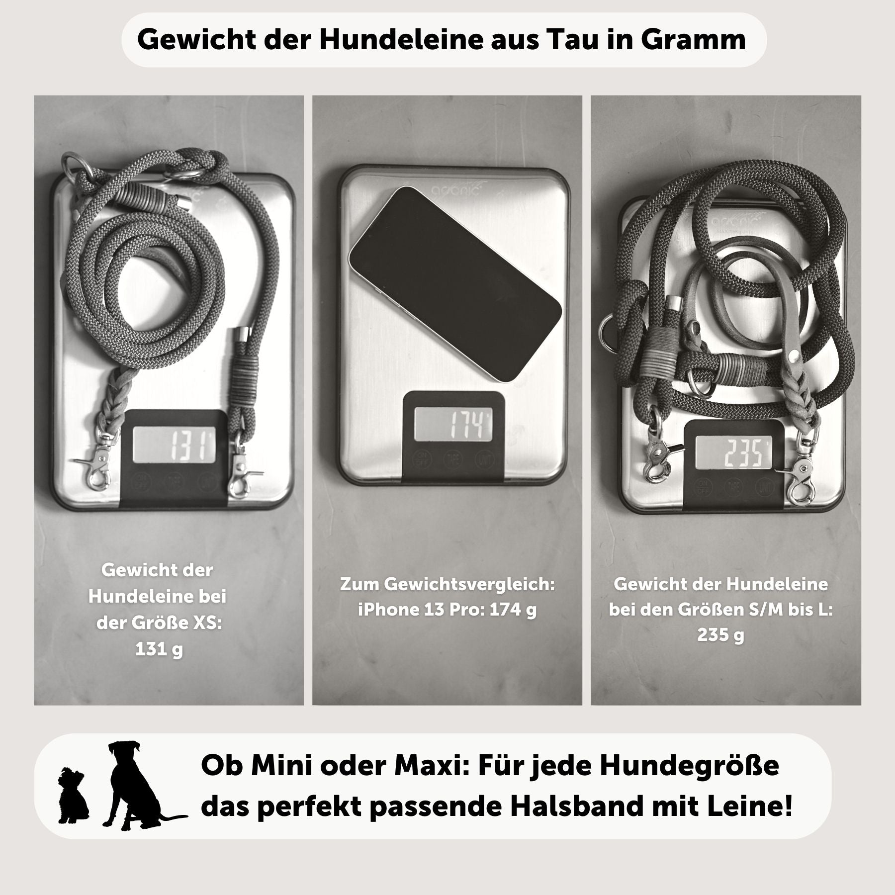 Set | Halsband & Leine 'Livio'