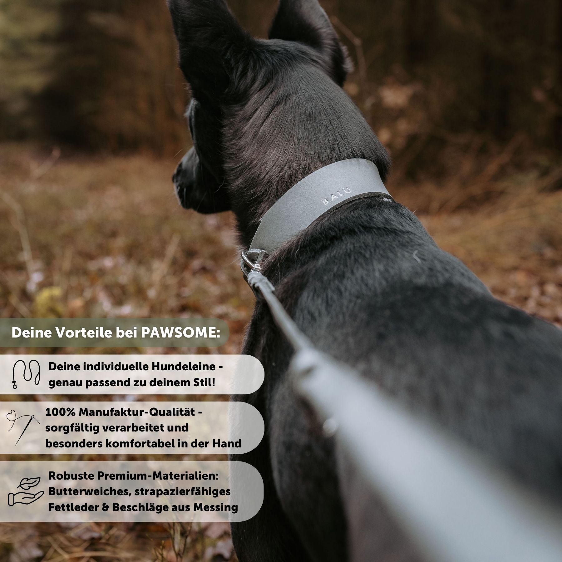 Lederleine 'Bjarki' in Steingrau