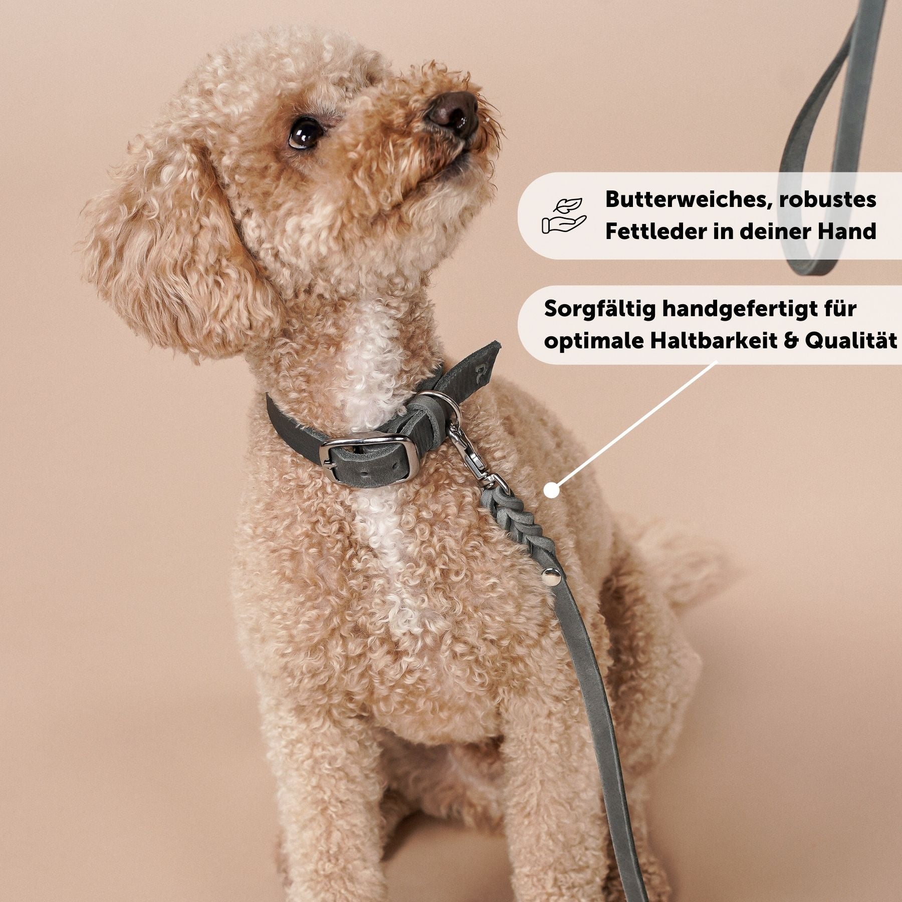 Lederleine 'Bjarki' in Steingrau