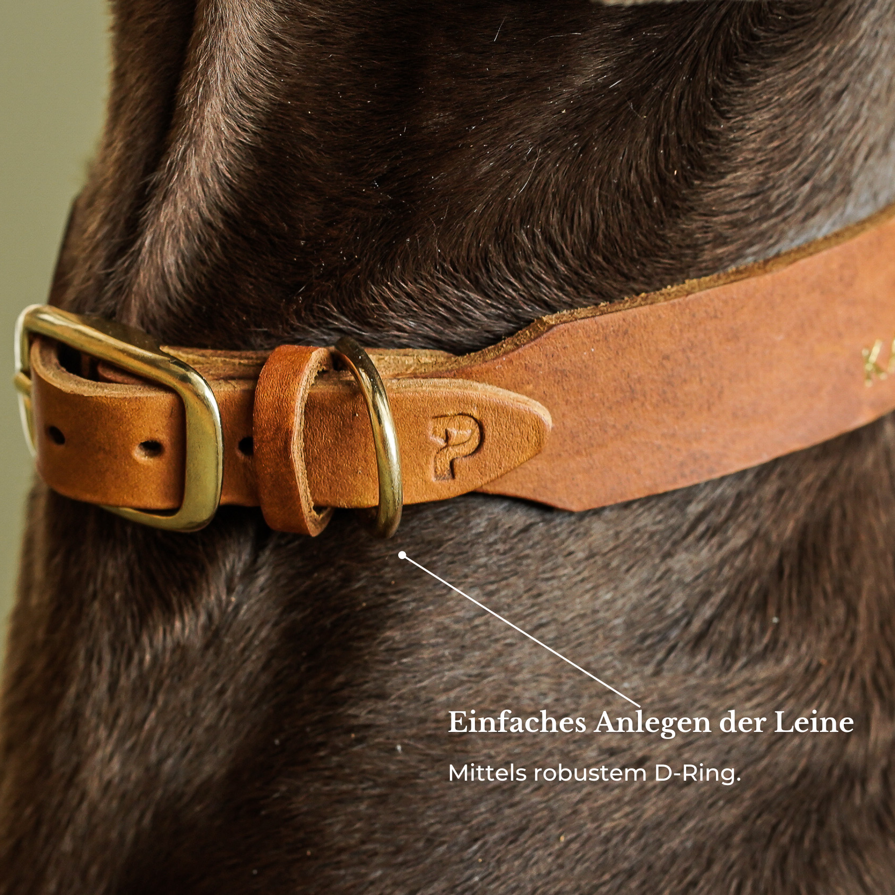 Personalisierbares Lederhalsband mit Name | Cognac