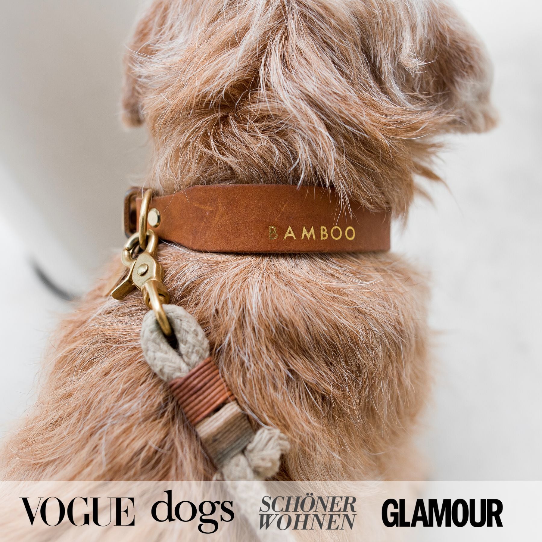 Personalisierbares Lederhalsband mit Name | Cognac