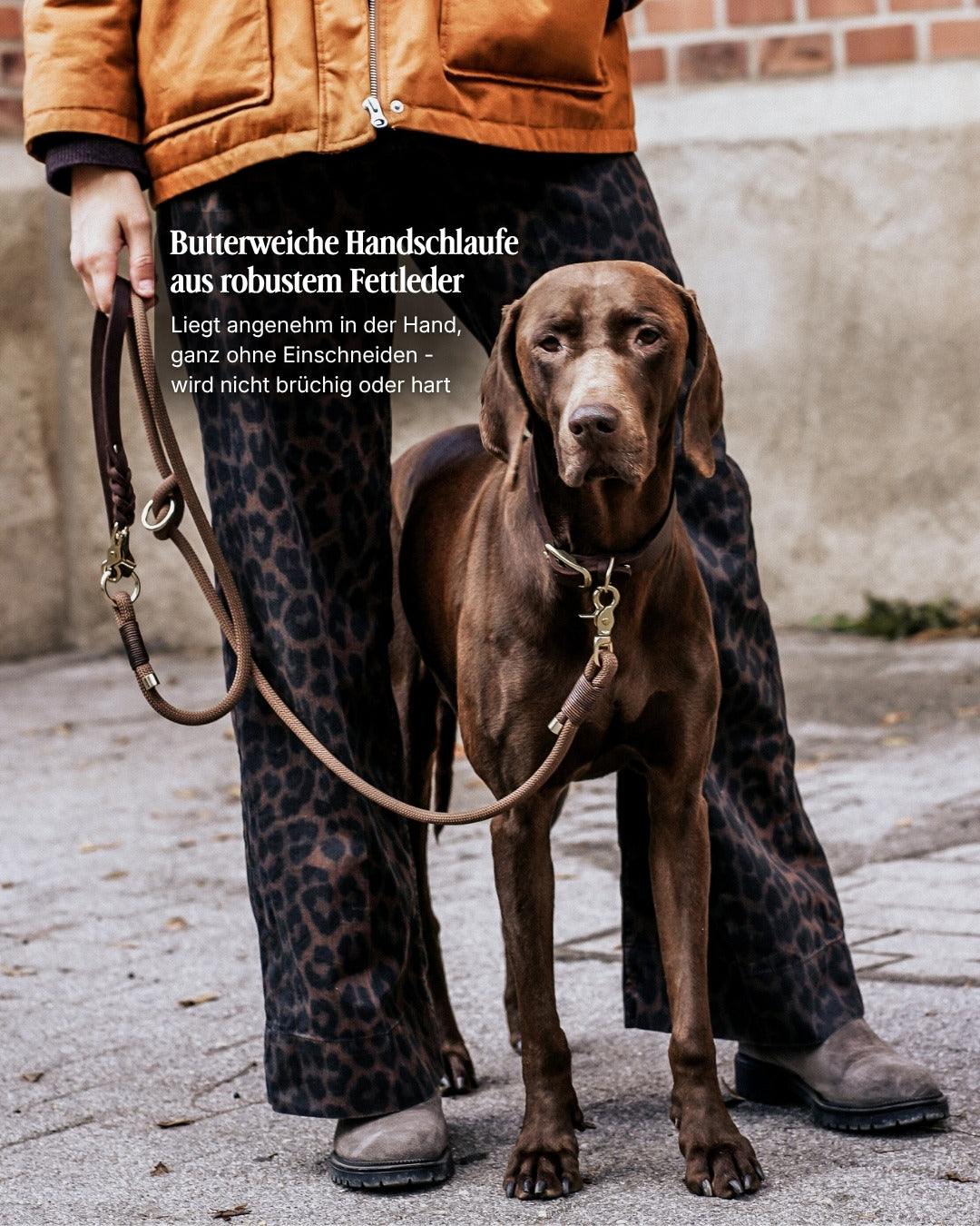 Limited | Set - Halsband & Leine 'Koffee Kiss'