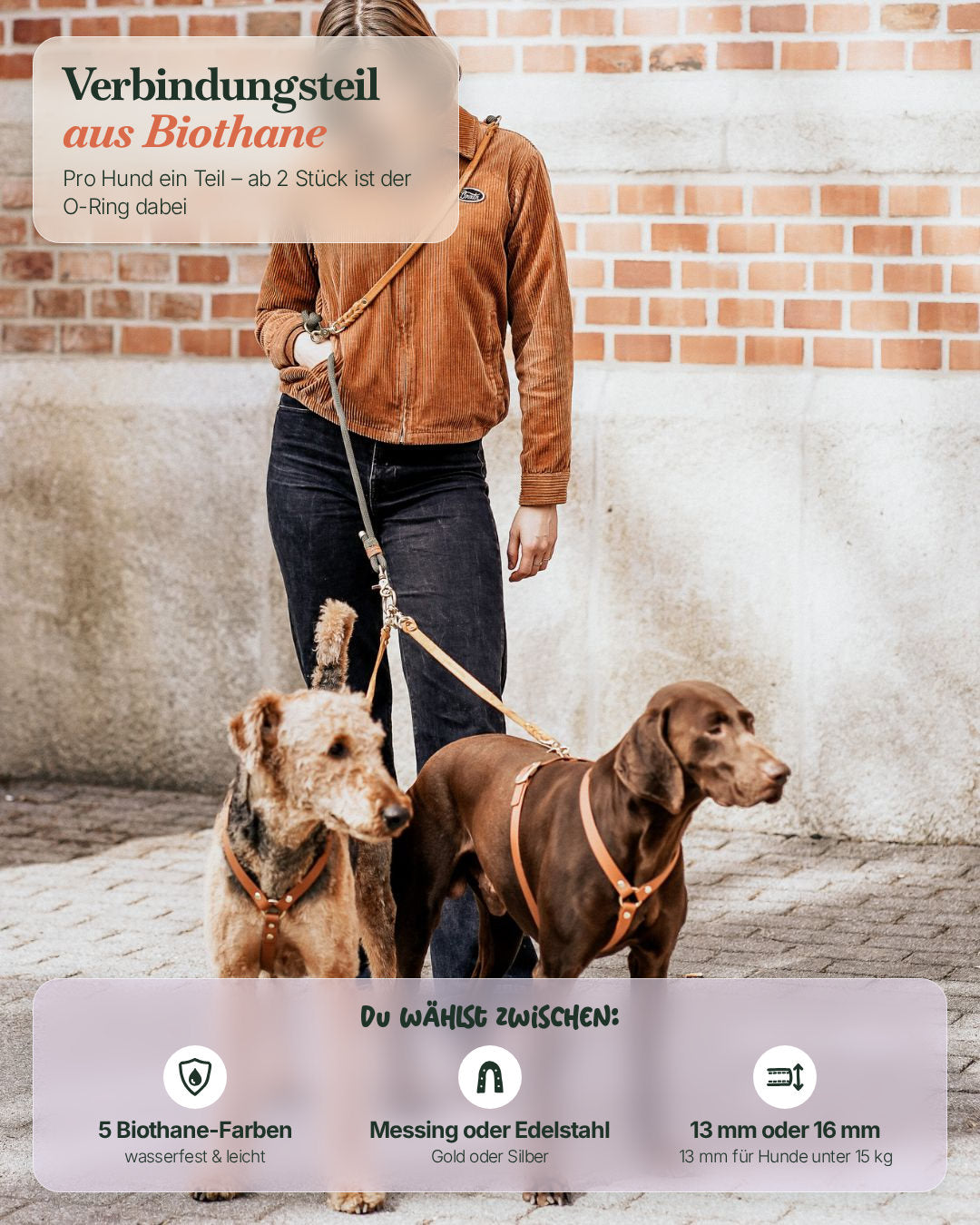 Verbindungsteil aus Biothane für 2 Hunde an einer Leine: Farben, Messing oder Edelstahl, Größen