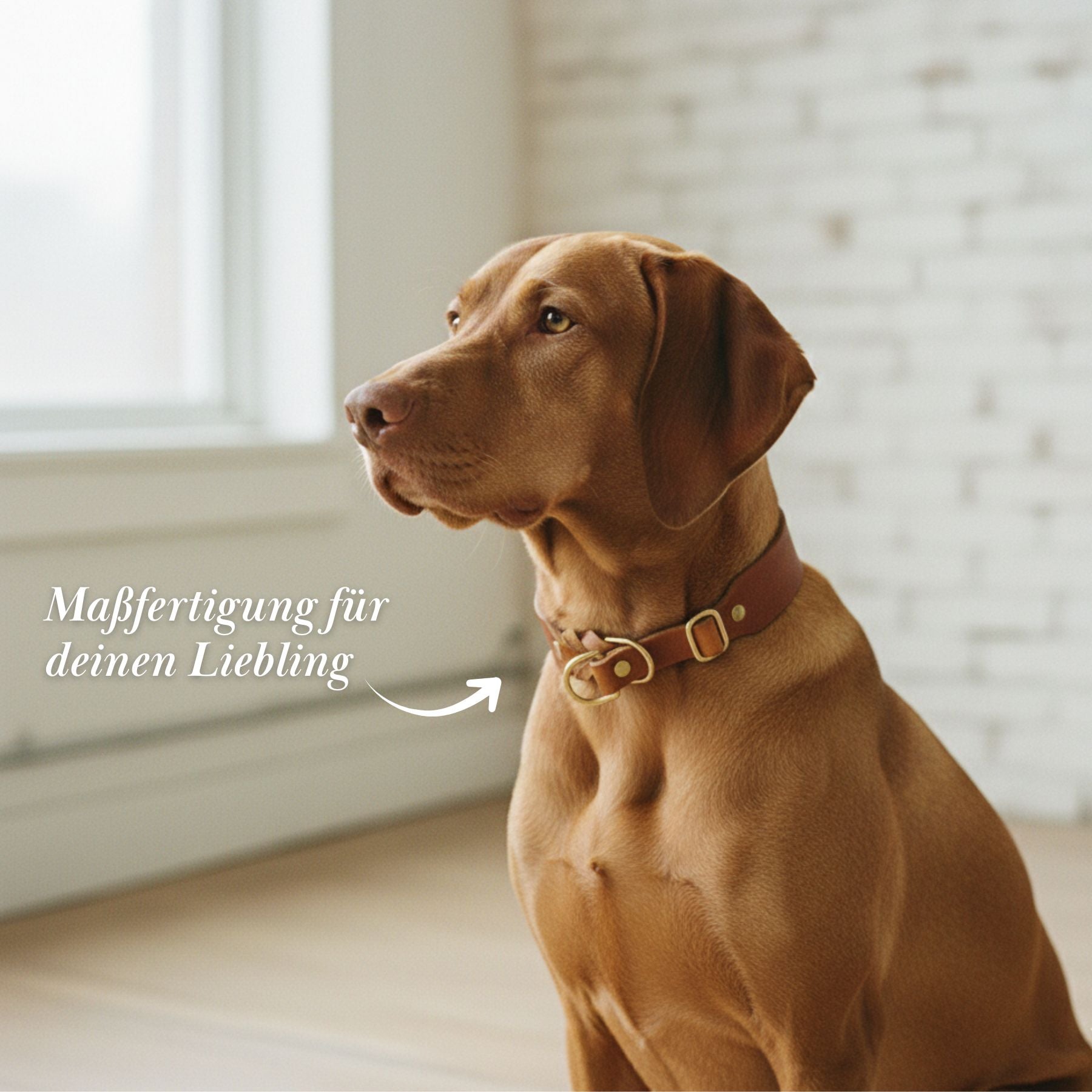 Set | Zugstopp-Halsband & Leine aus Fettleder