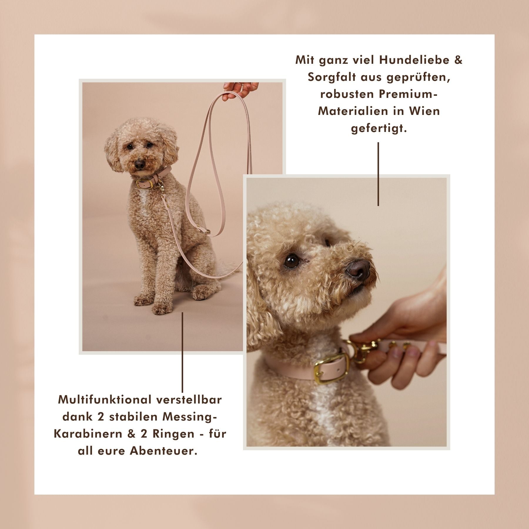 B:Ware | Hundeleine für kleine Hunde aus Biothane® 'Sand'