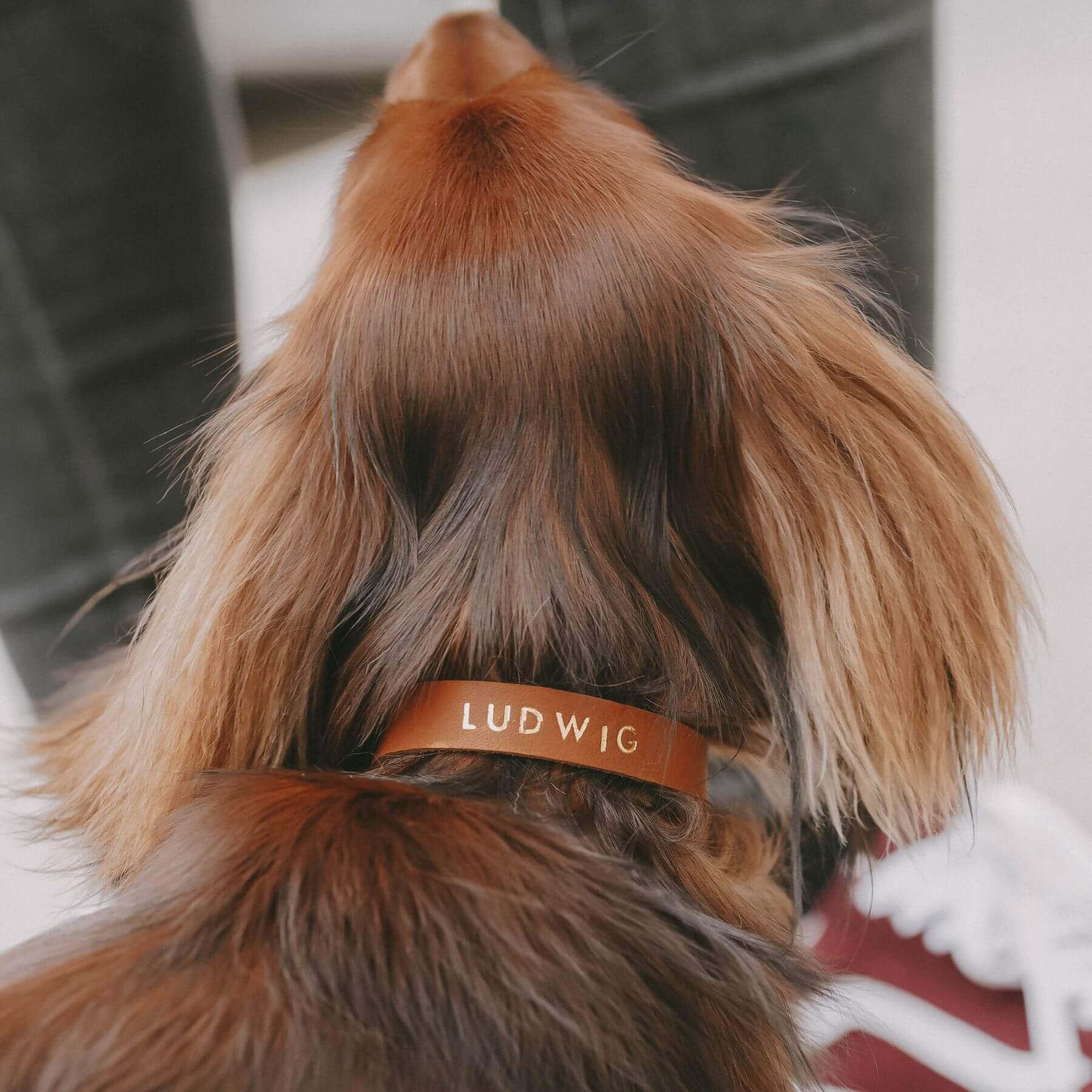 Schmales Lederhalsband in Cognac