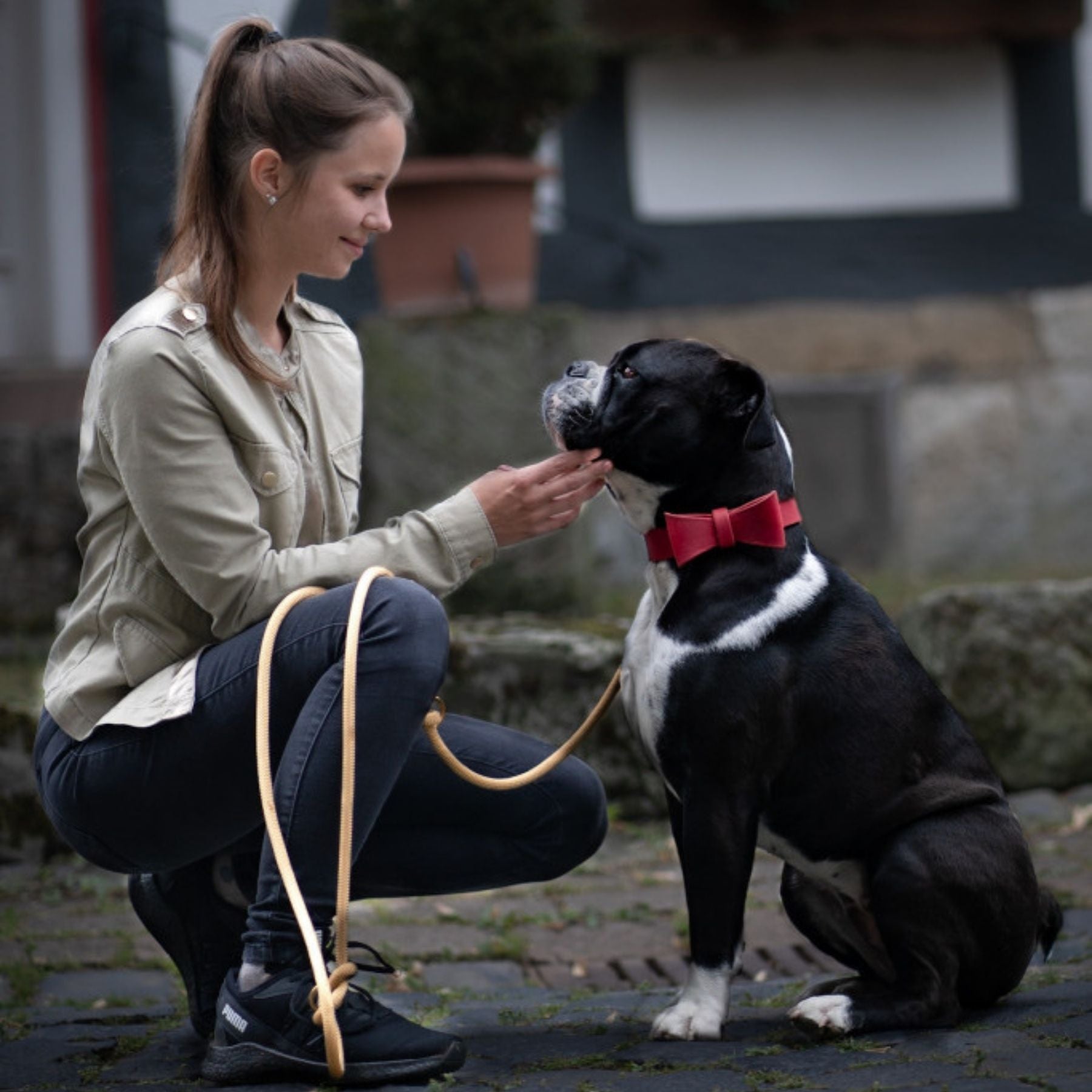 Fliege aus Leder für Halsbänder