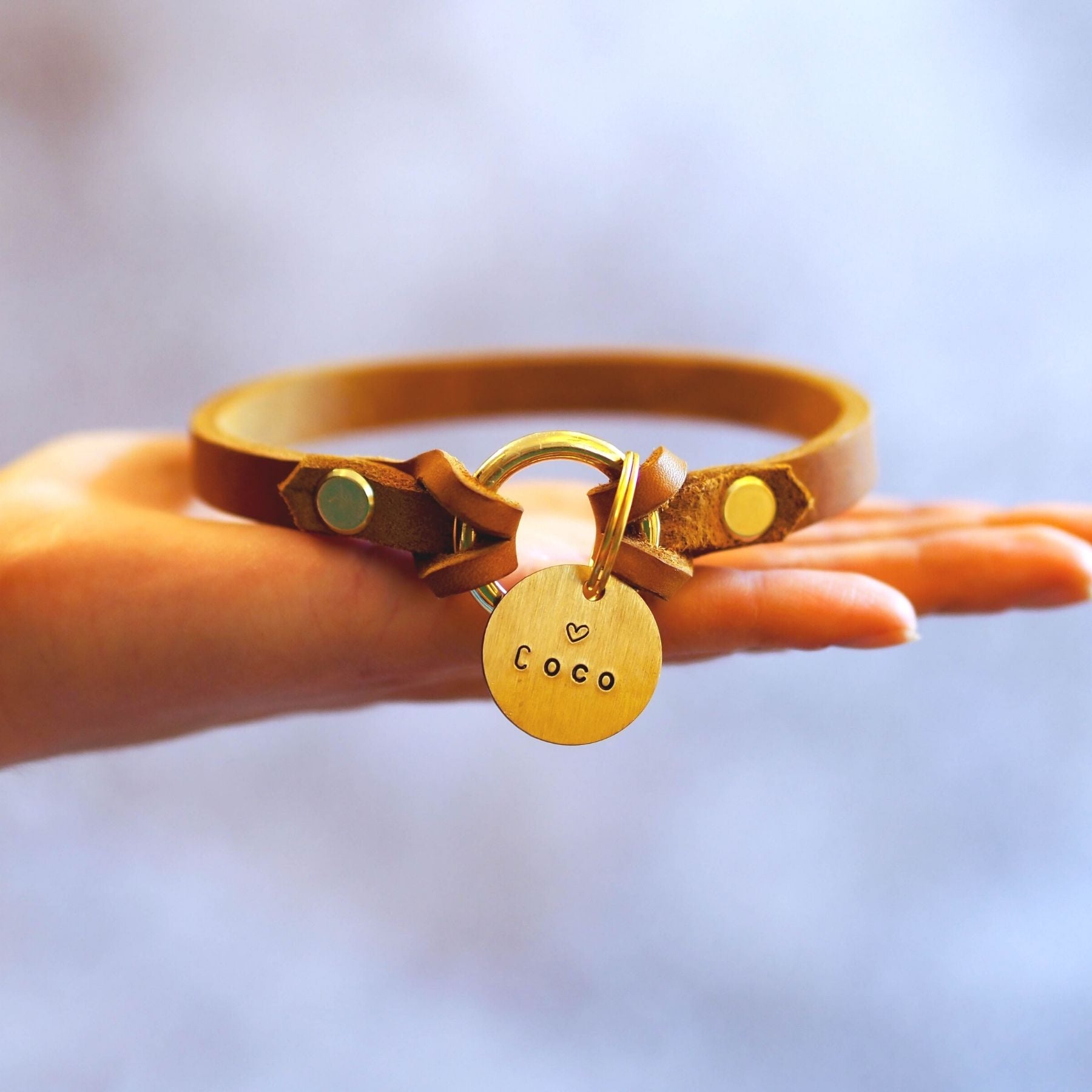 Markenhalsband für Hundemarken, dünnes Halsband für Hundemarken mit Handynummer und Namen, Ledermarkenhalsband, handgefertigt in Wien, Hundezubehör aus Österreich.