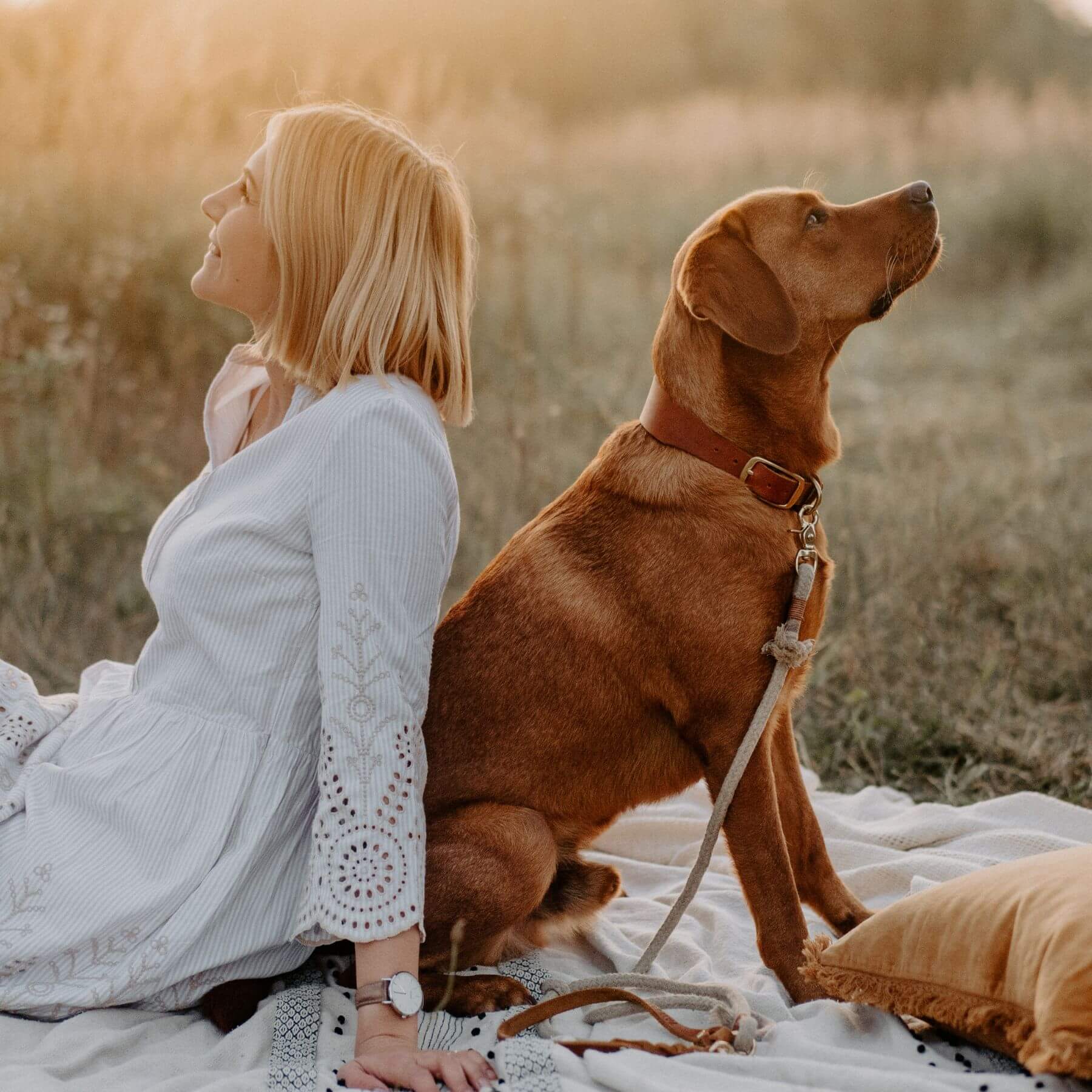 Personalisierbares Lederhalsband mit Name | Cognac