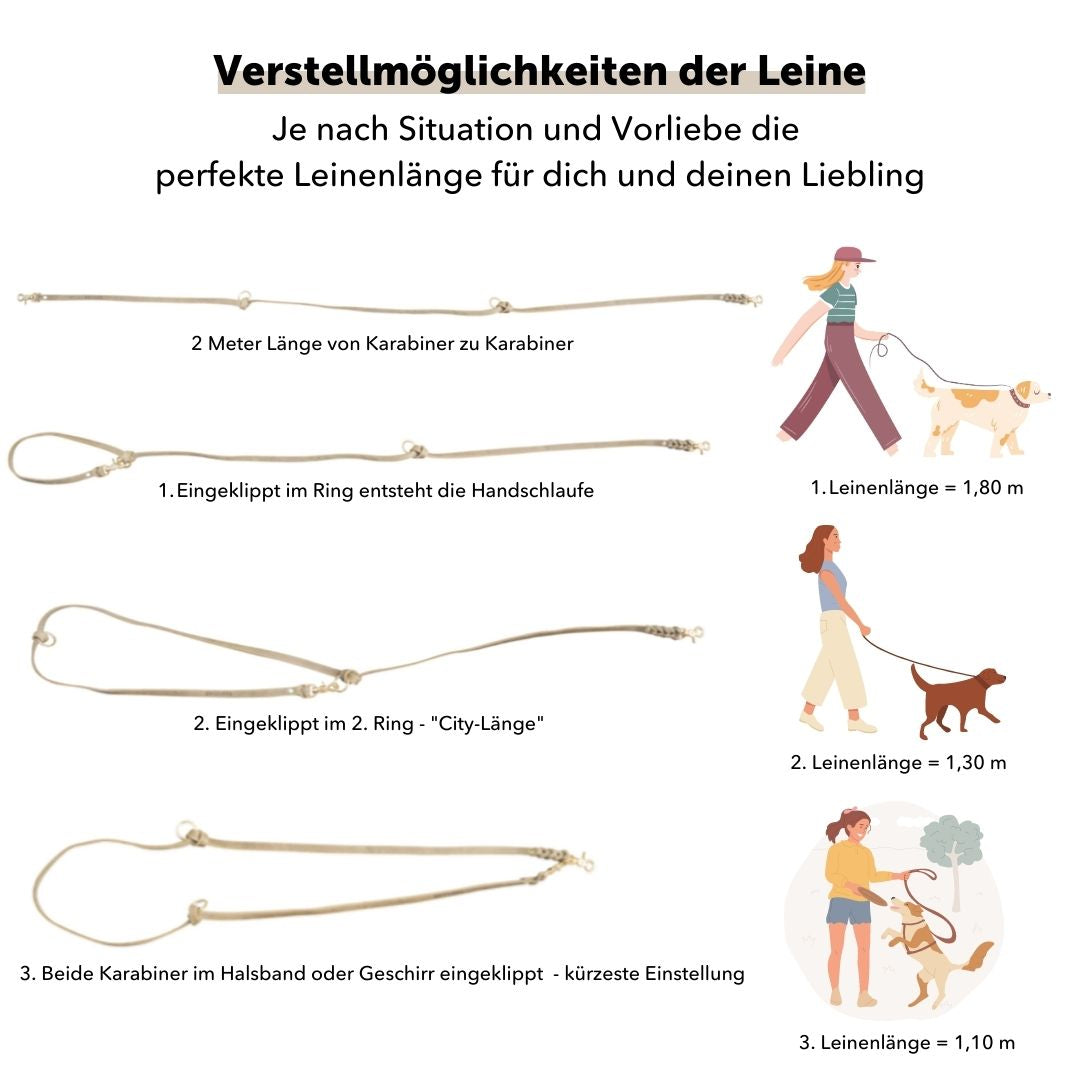 Lederleine 'Bjarki' in Chili