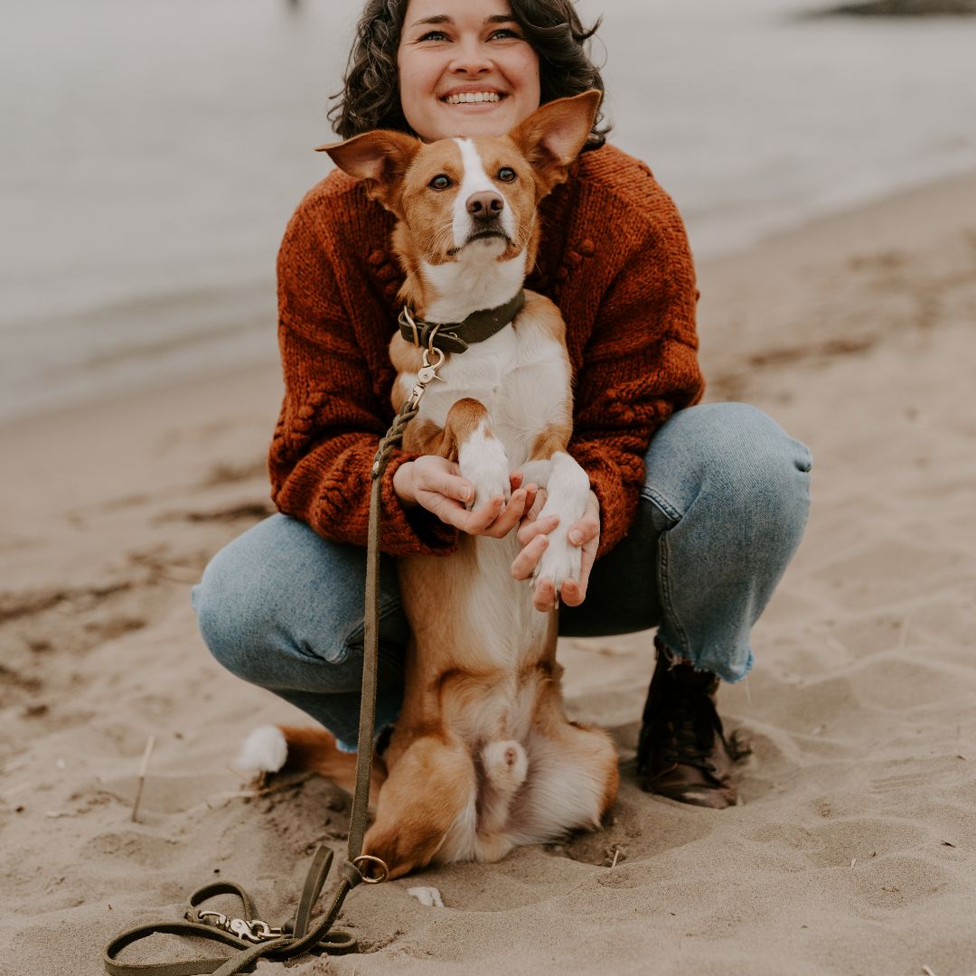 Set | Lederhalsband & Leine in Olive