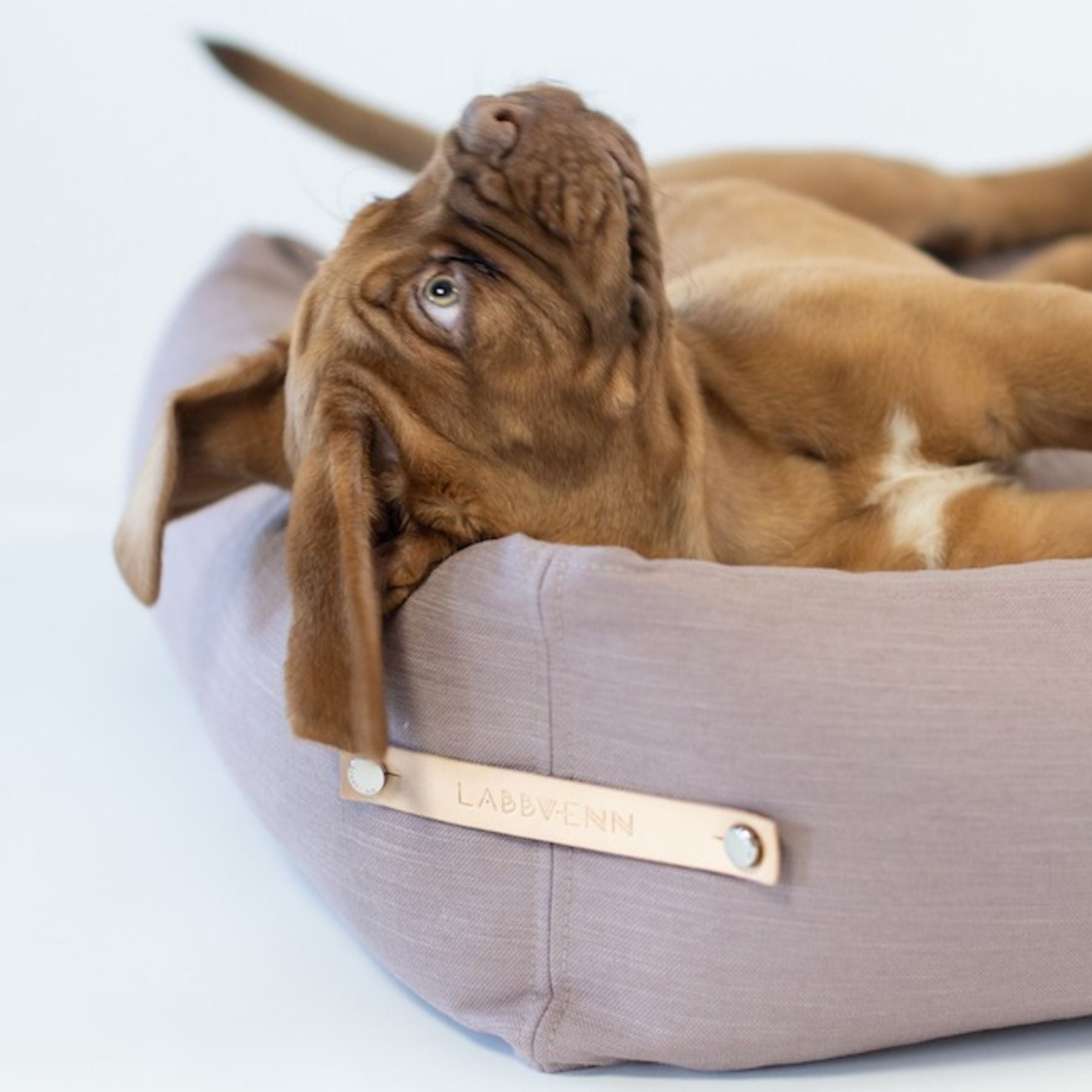 B:Ware | Hundebett 'Stokke'