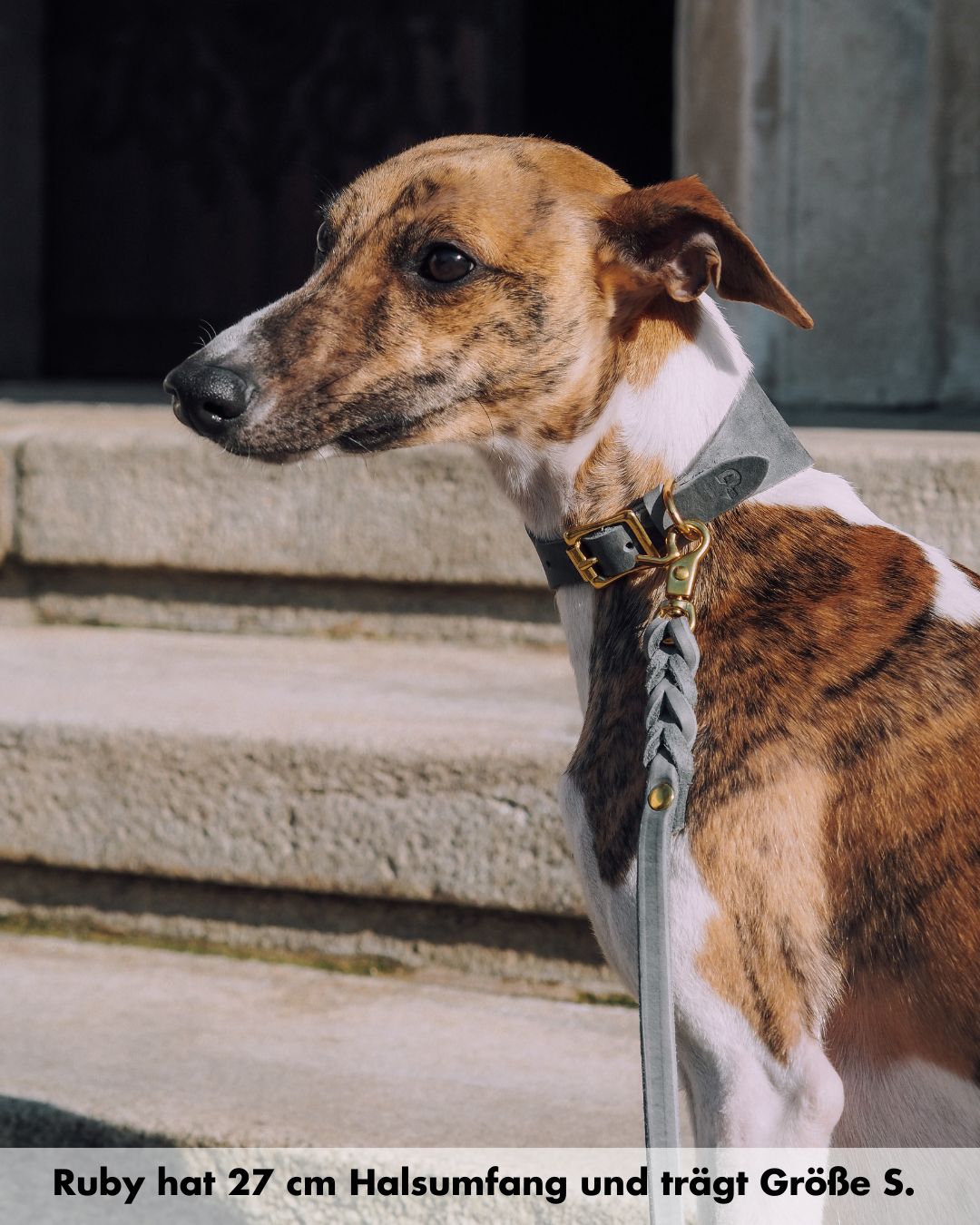 Windhundhalsband aus Fettleder (5 cm breit)