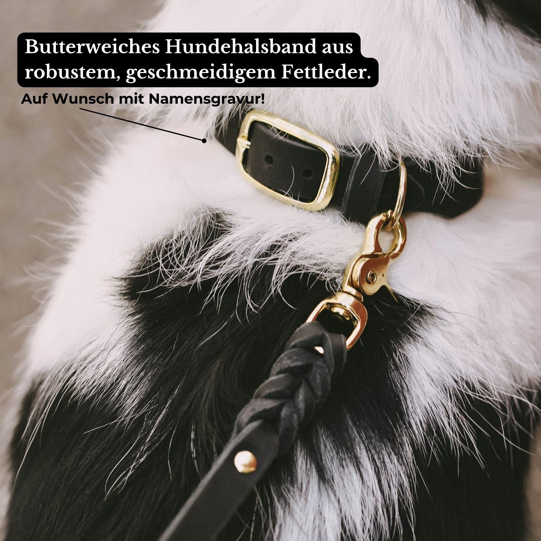 Personalisierbares Halsband mit Name | Schwarz