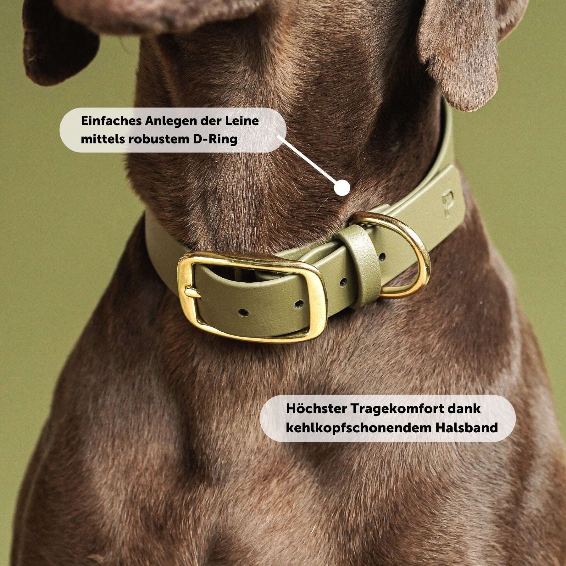 Set | Halsband & Leine aus Biothane® 'Khaki'