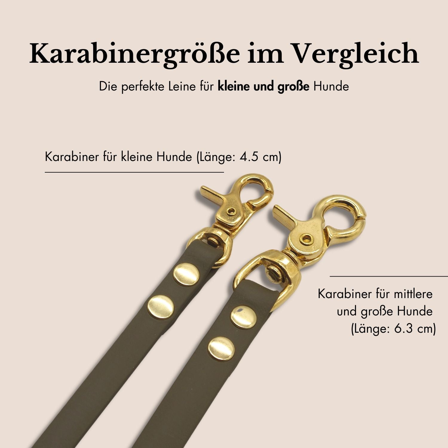 Set | Halsband & Leine aus Biothane® 'Khaki'